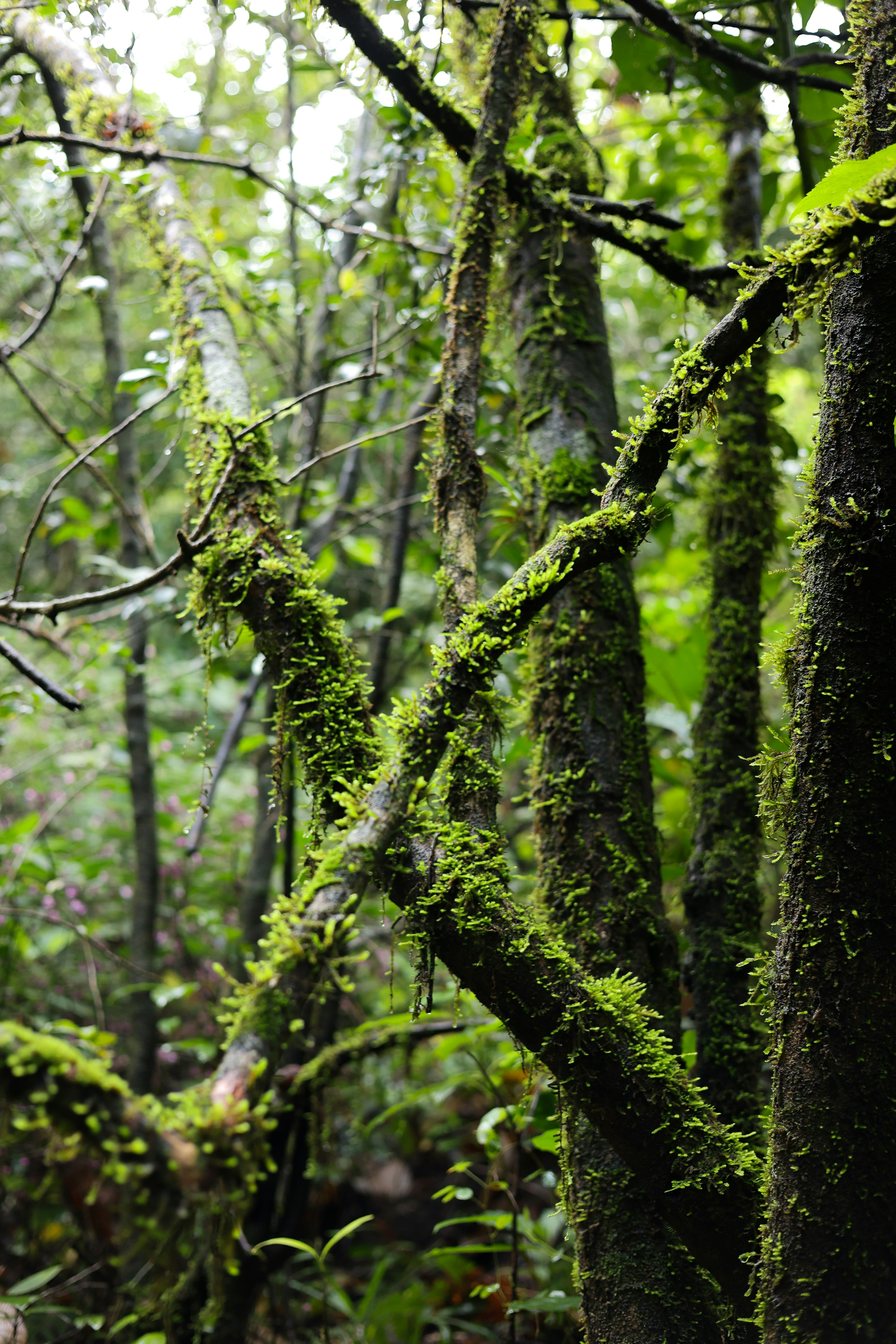 Photo by tonyzebastian