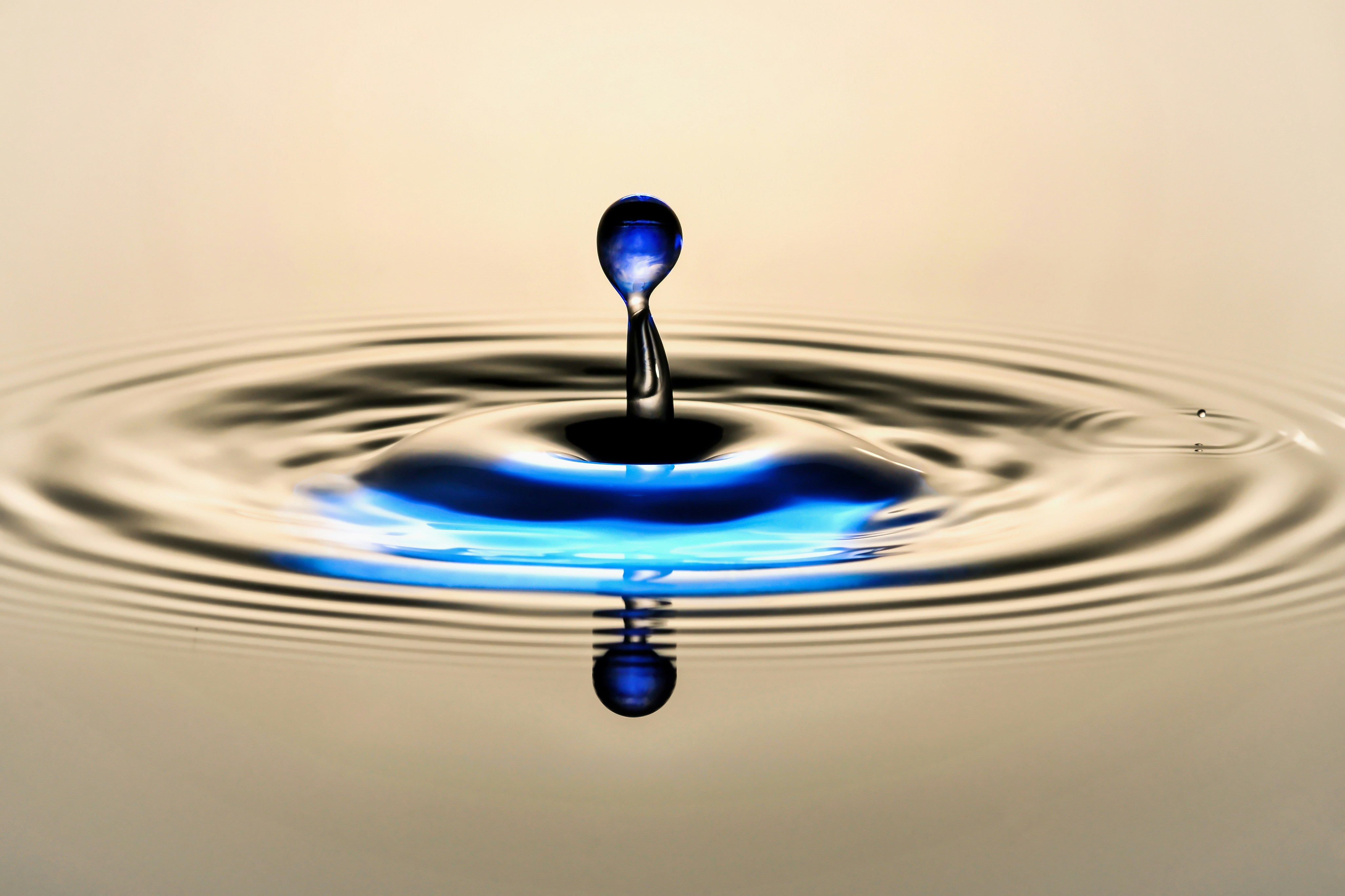 Photo by hamburgmeinefreundin