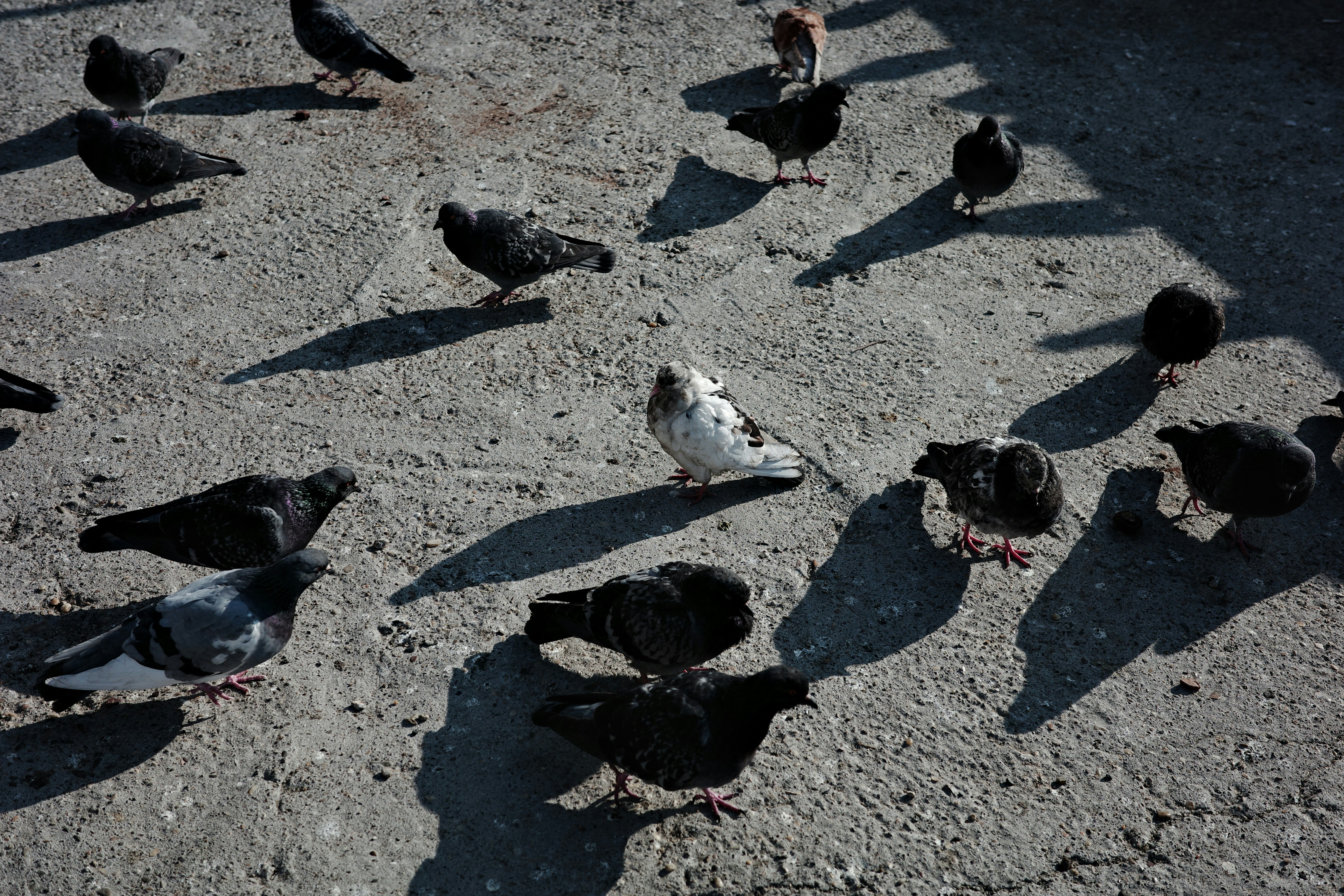 Photo by dmitrii_filatov