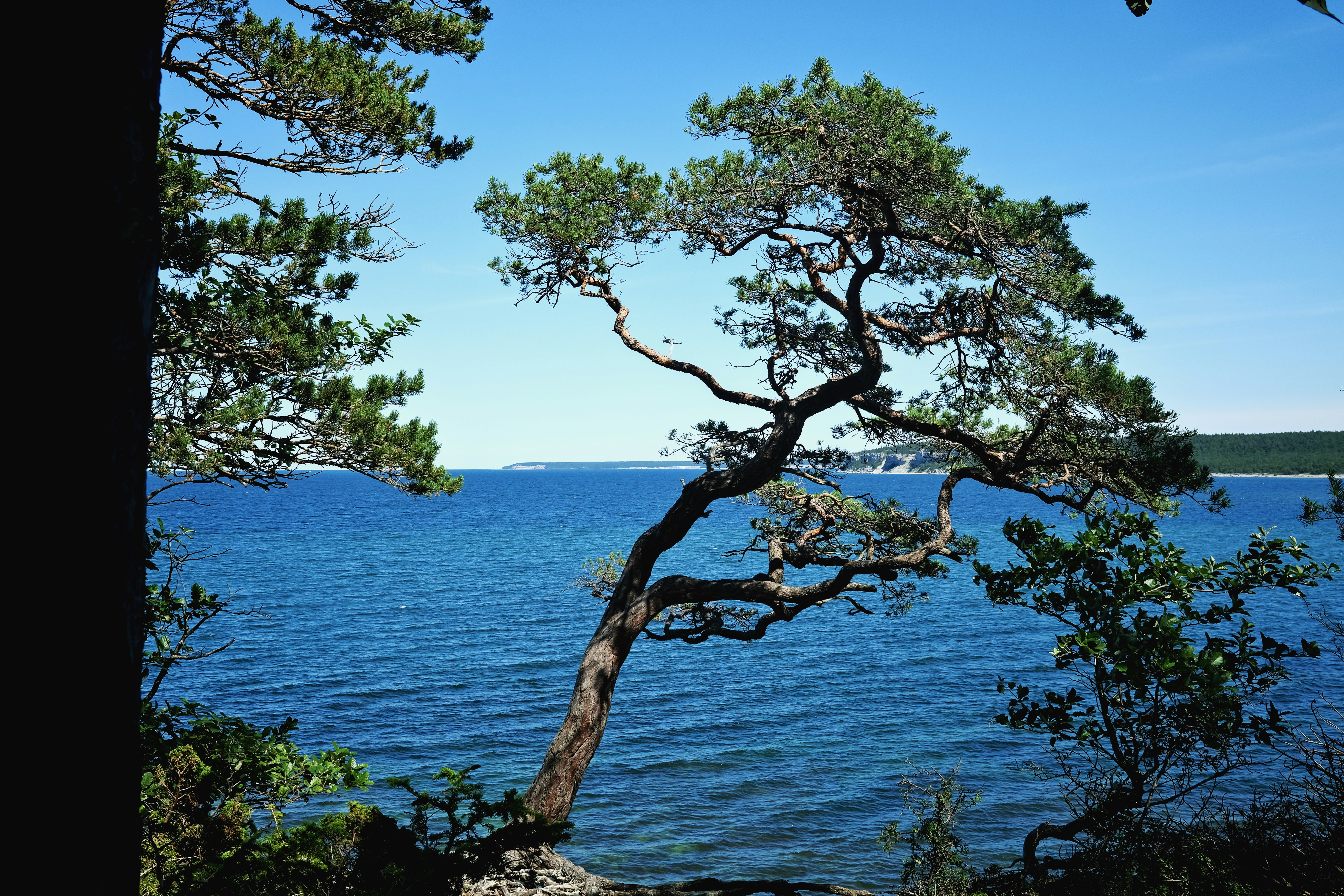 Photo by magnusjonasson