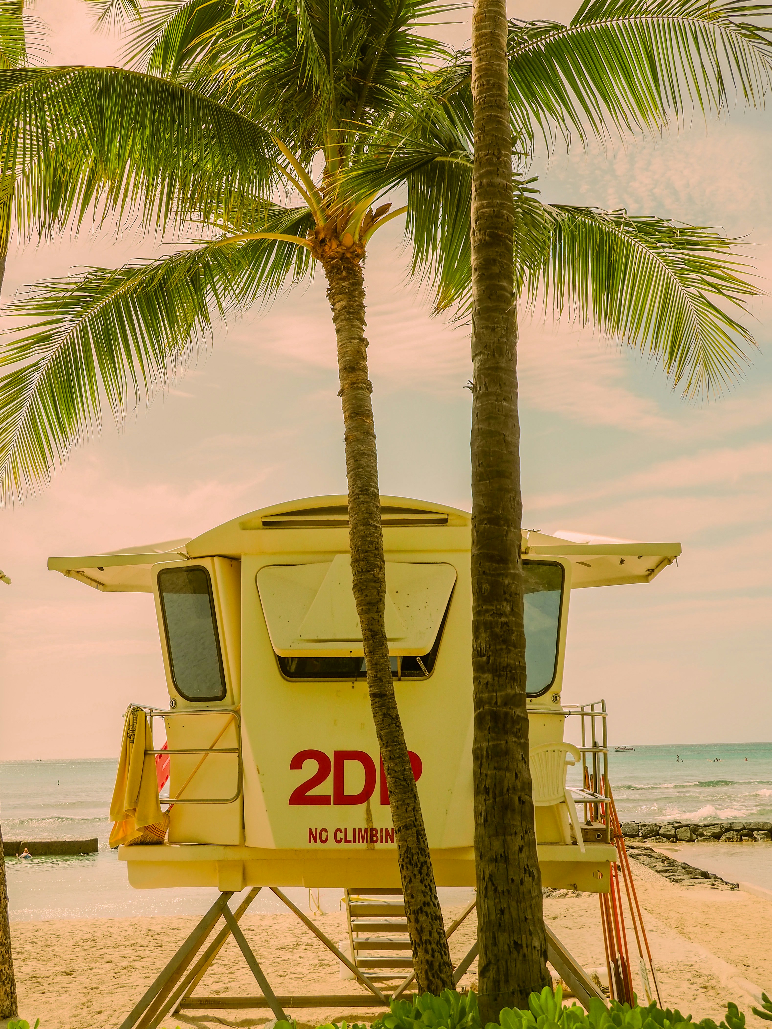 A lifeguard tower stands beneath palm trees.