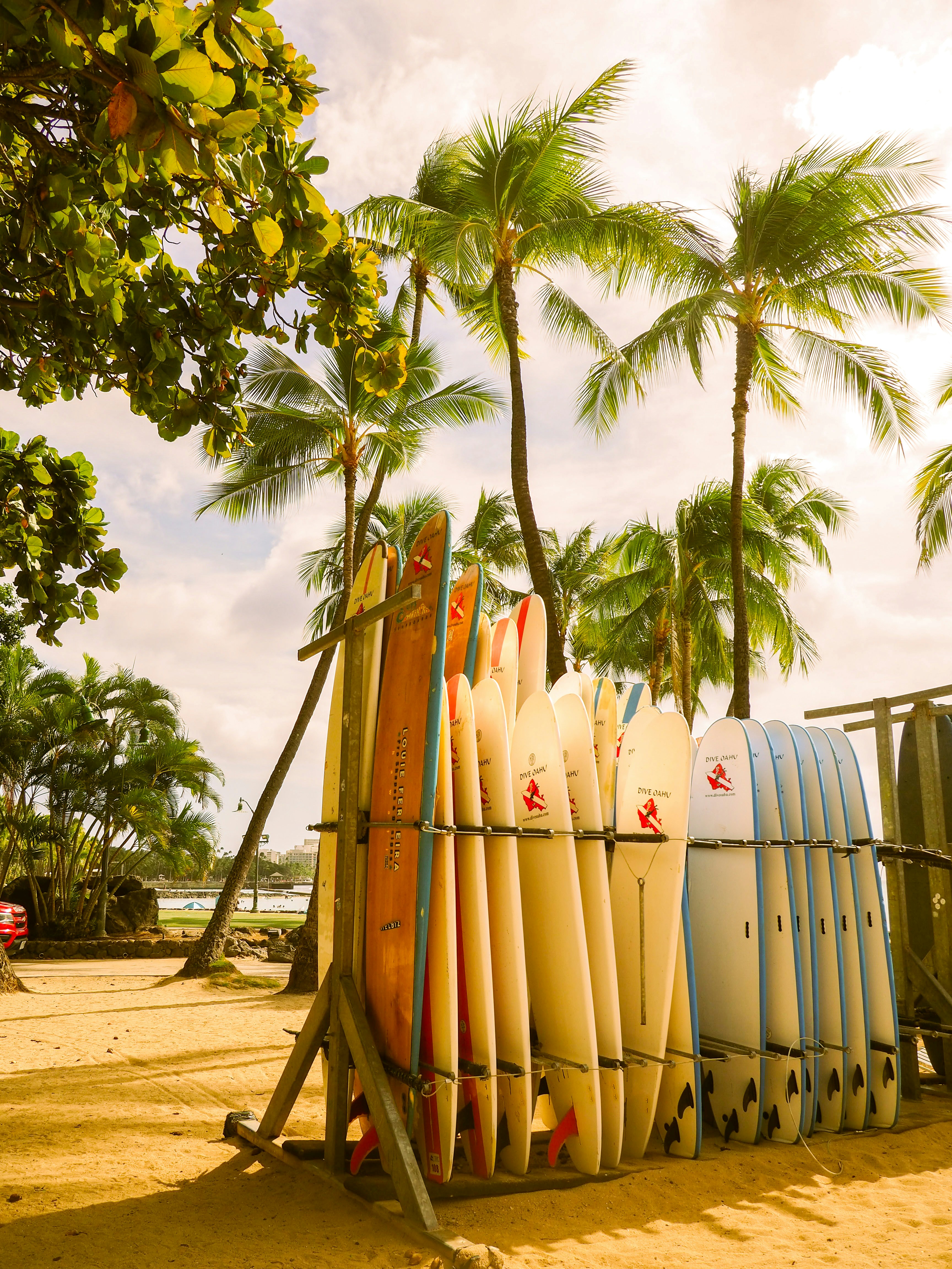 Surfboards rest on a rack by the beach.