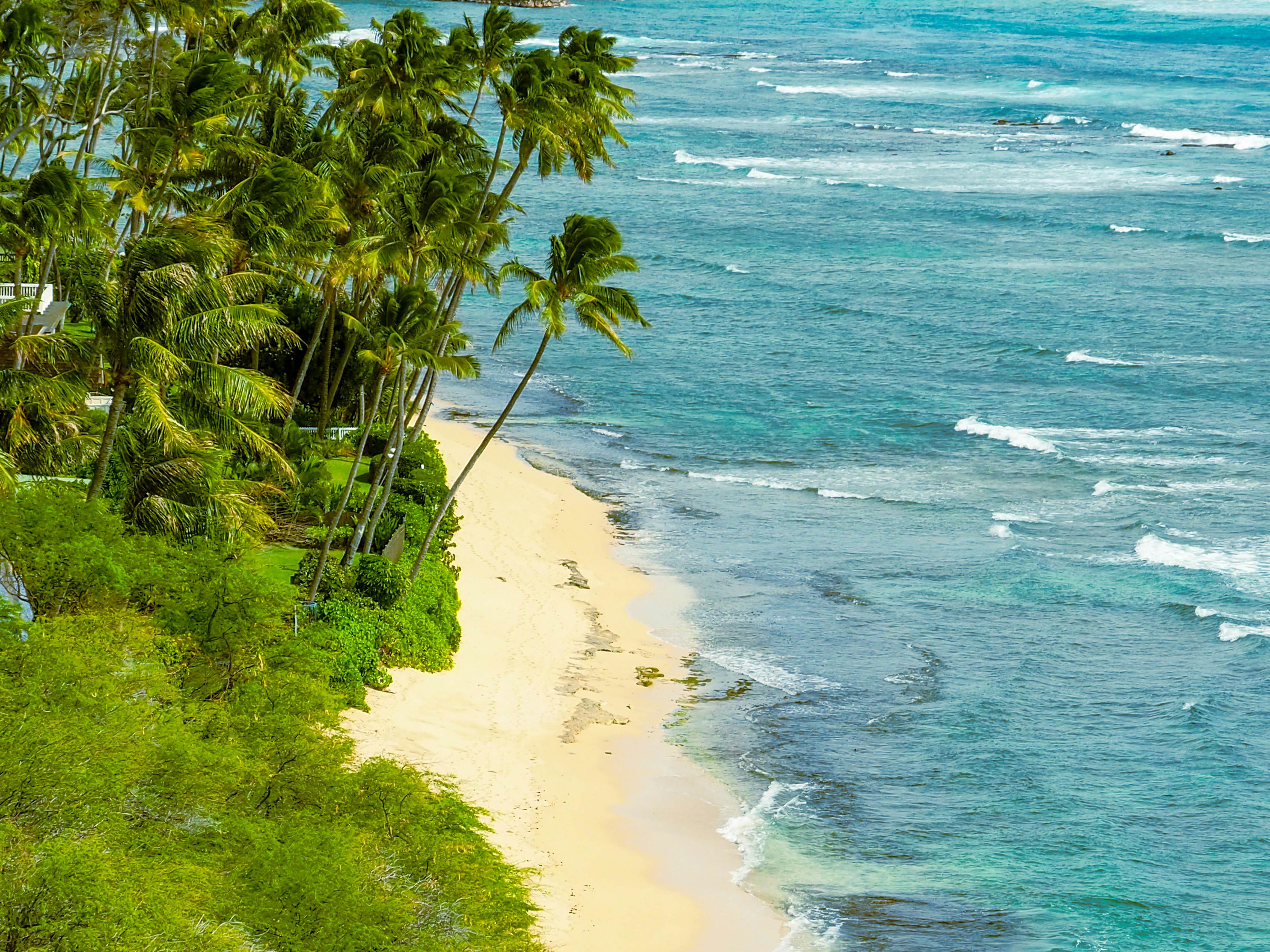 Photo by theresiahent