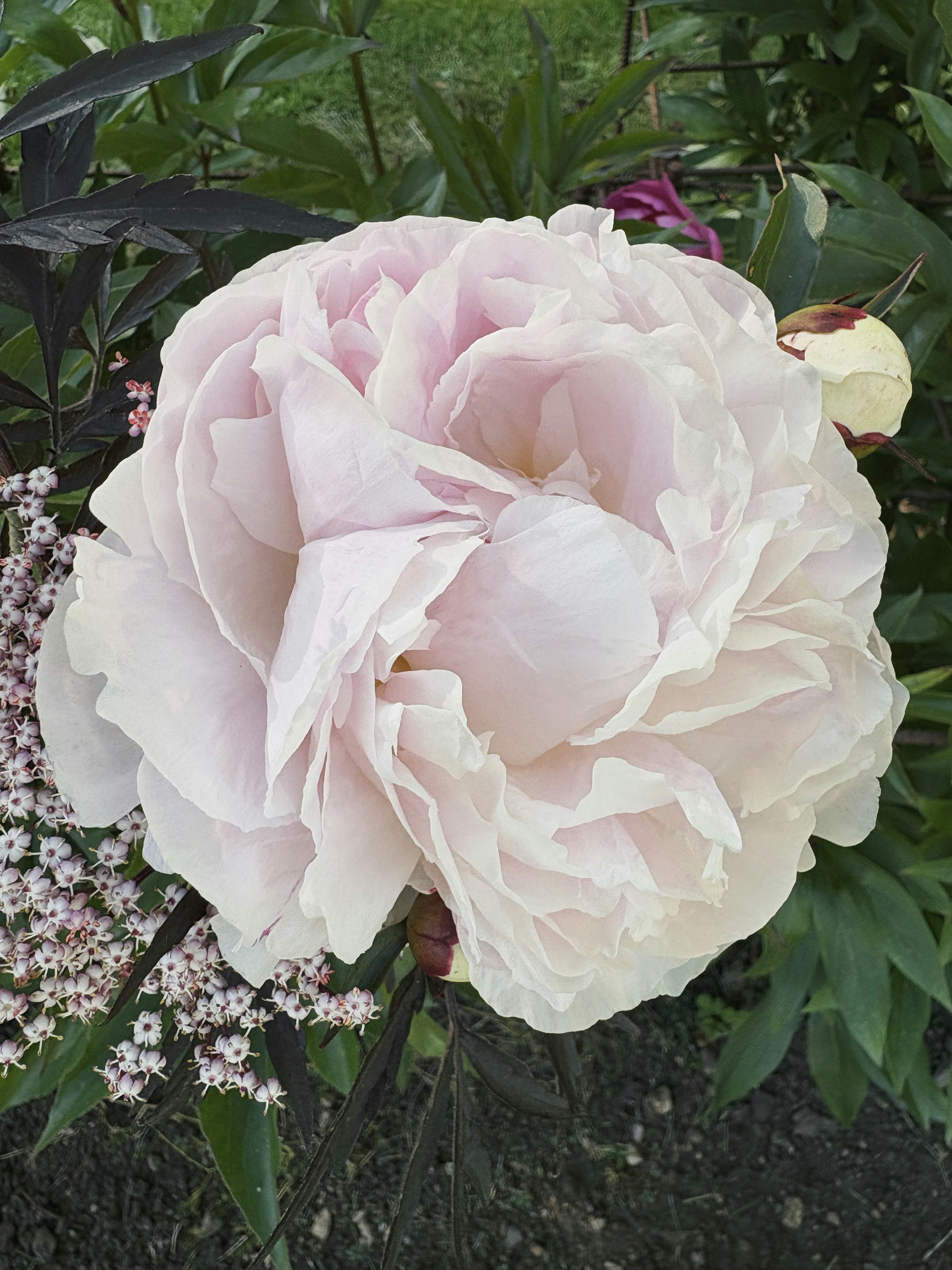 Photo by magnusjonasson