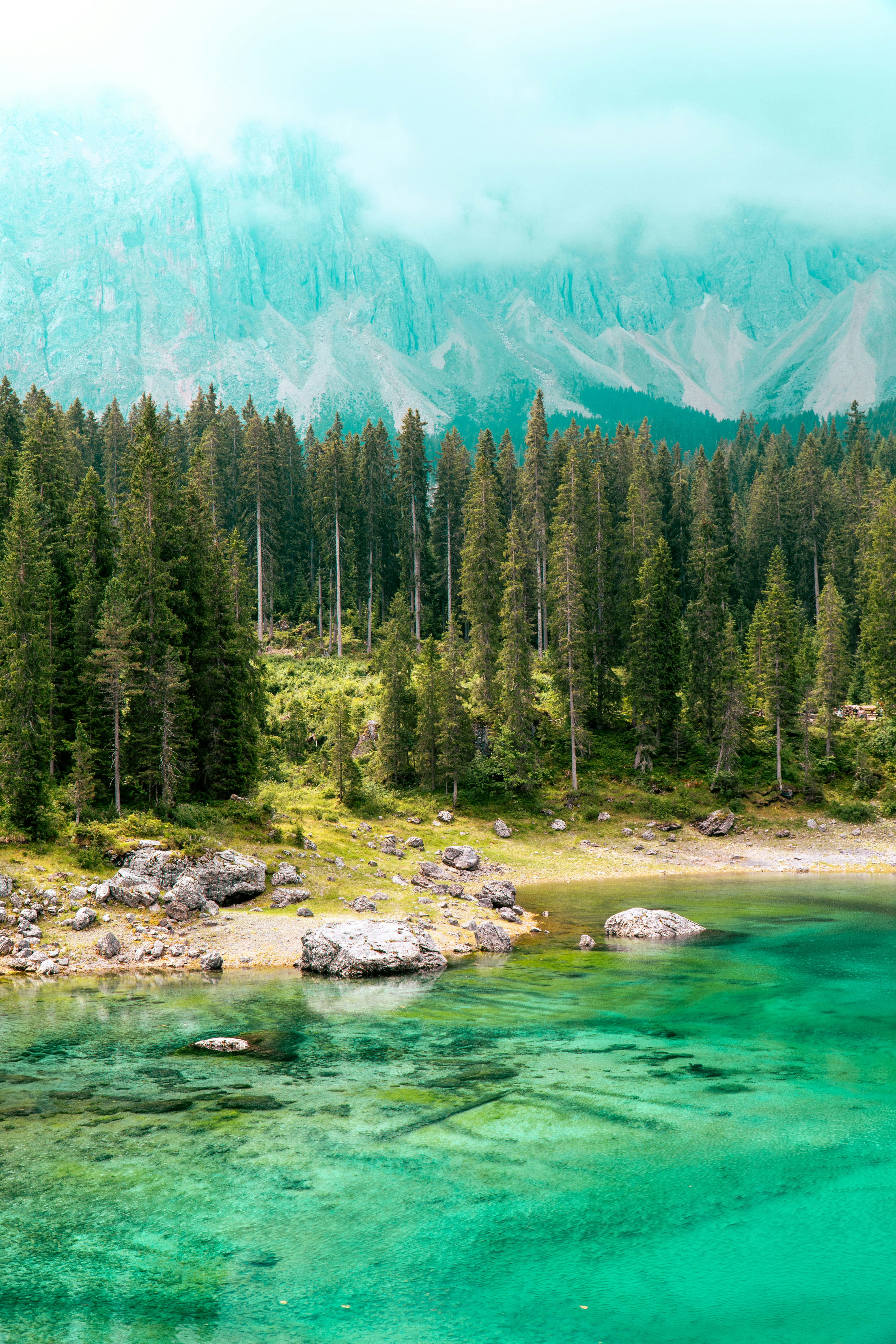 Photo by theresiahent