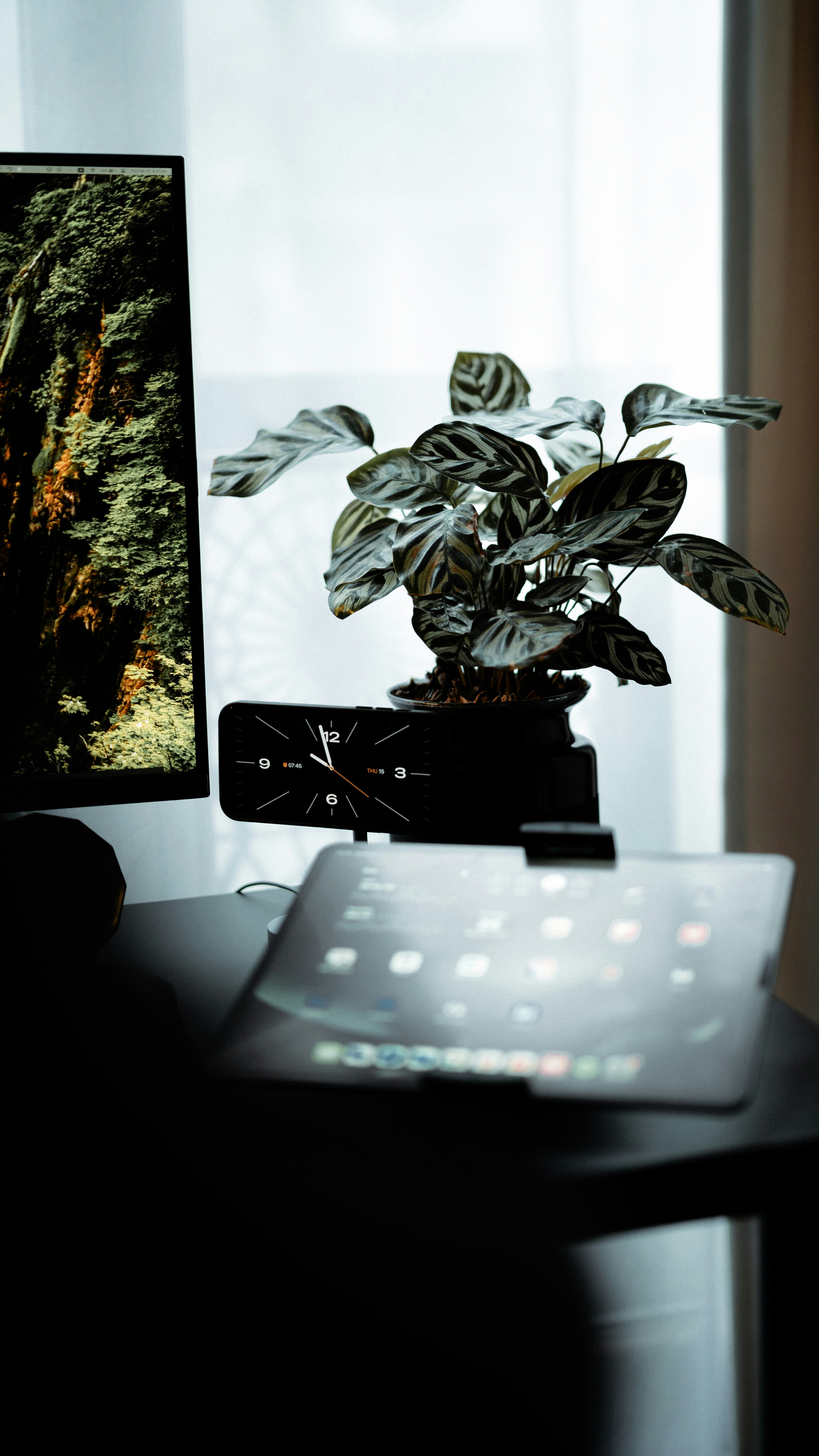 photo-1753620013949-989028c5c505