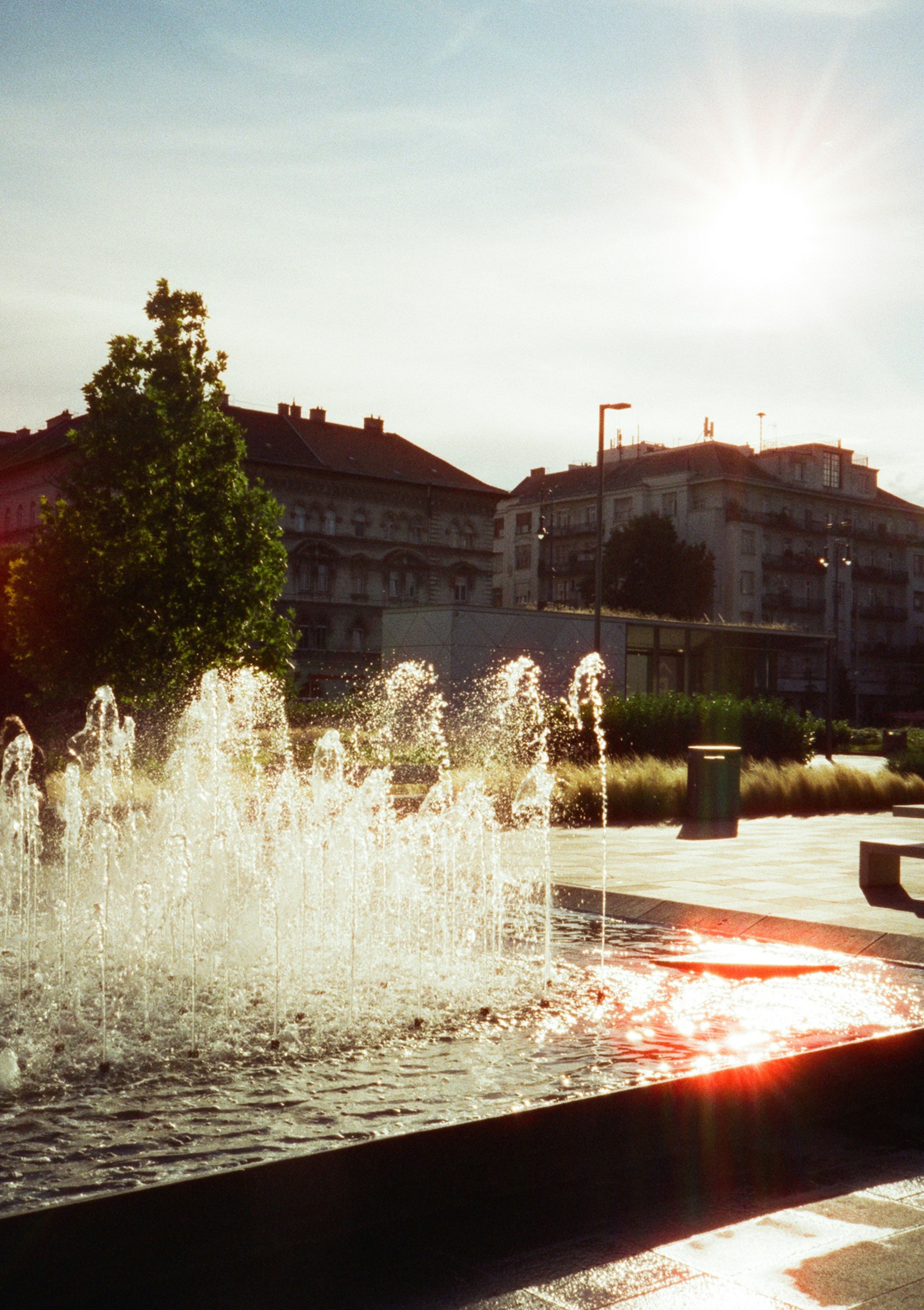 Photo by stachmann