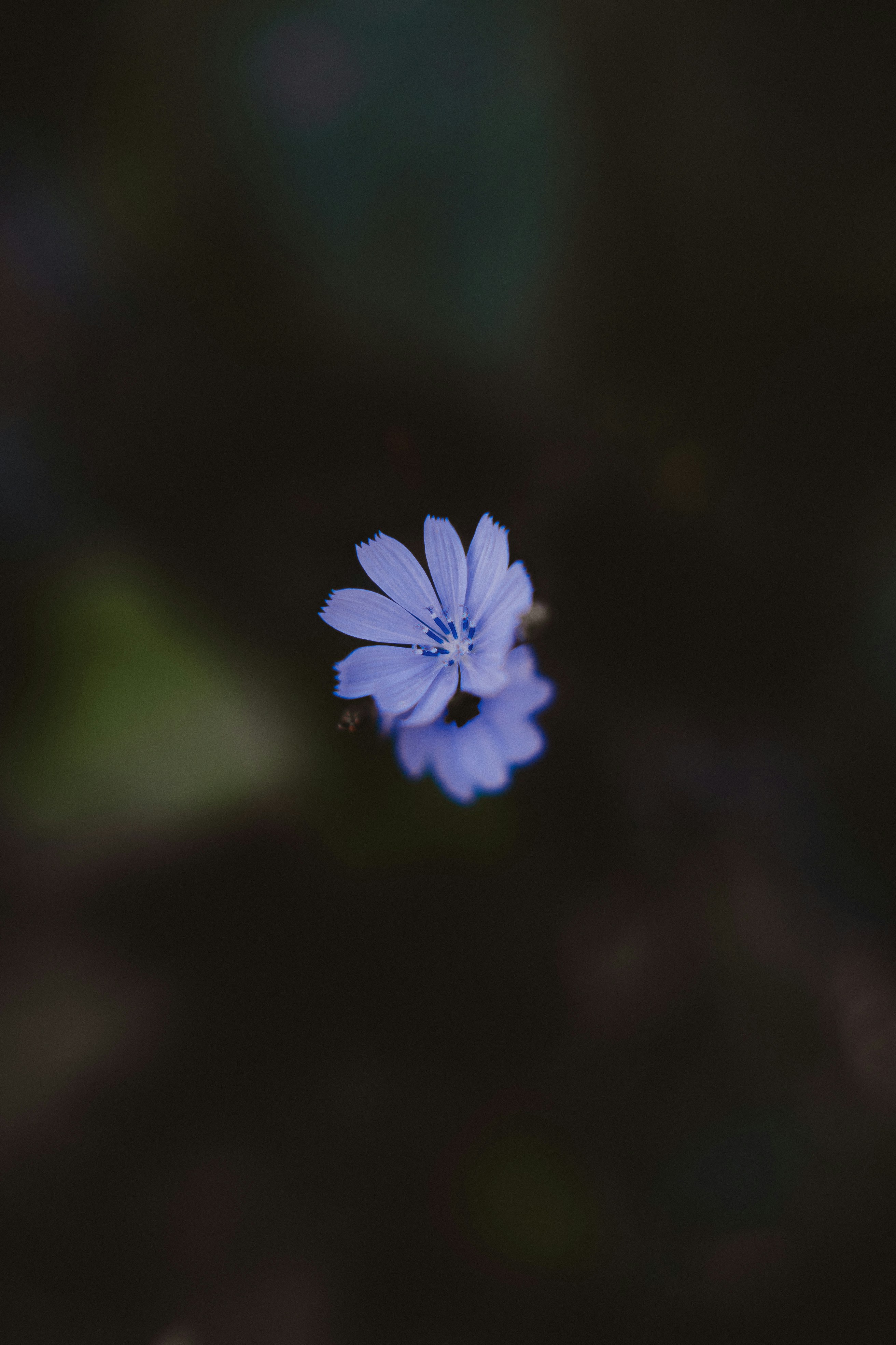 Photo by fakurian