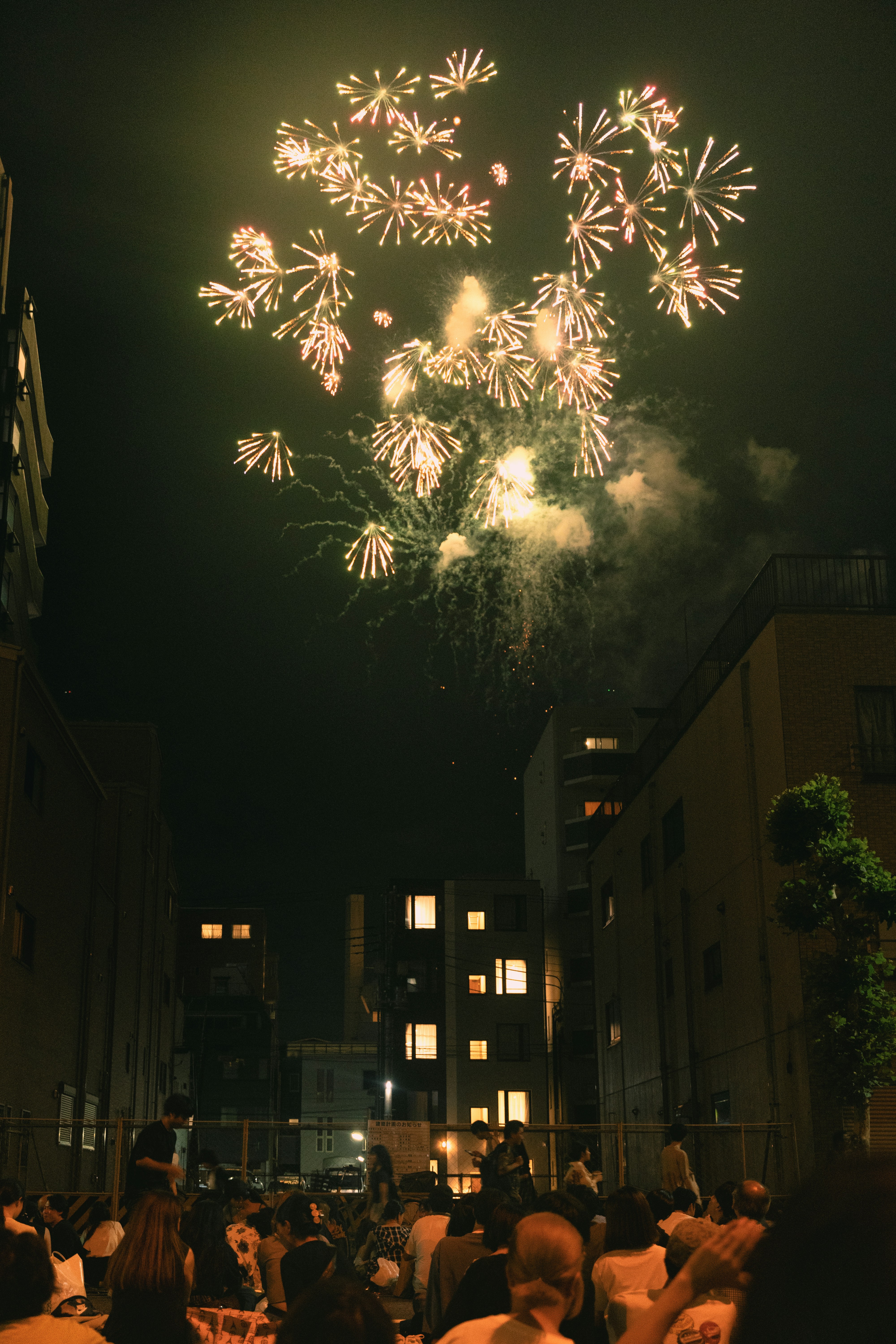 Fireworks light up the night sky.