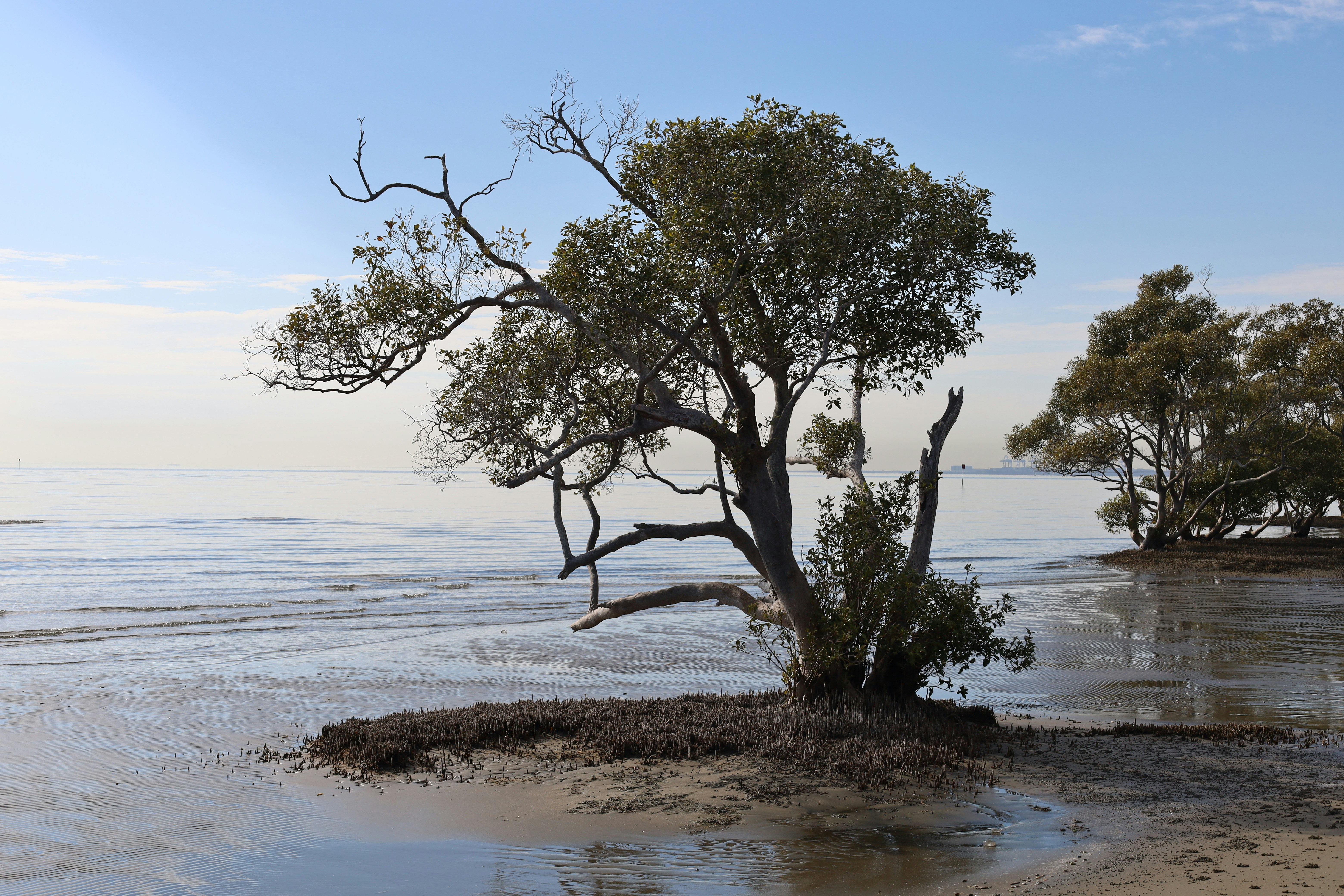 Nudgee, Queensland