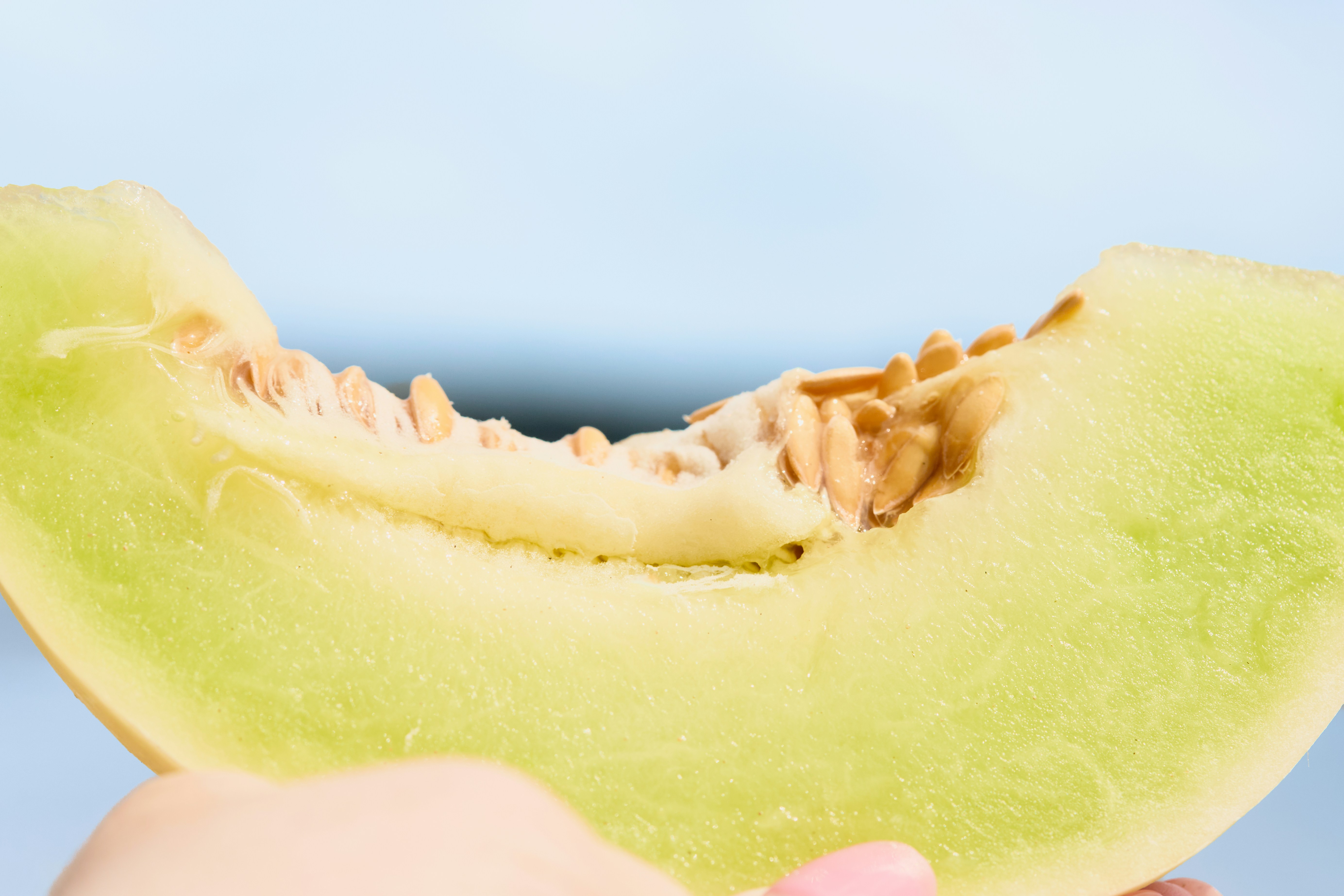 Sliced honeydew melon on a pastel pink table showing pale green flesh