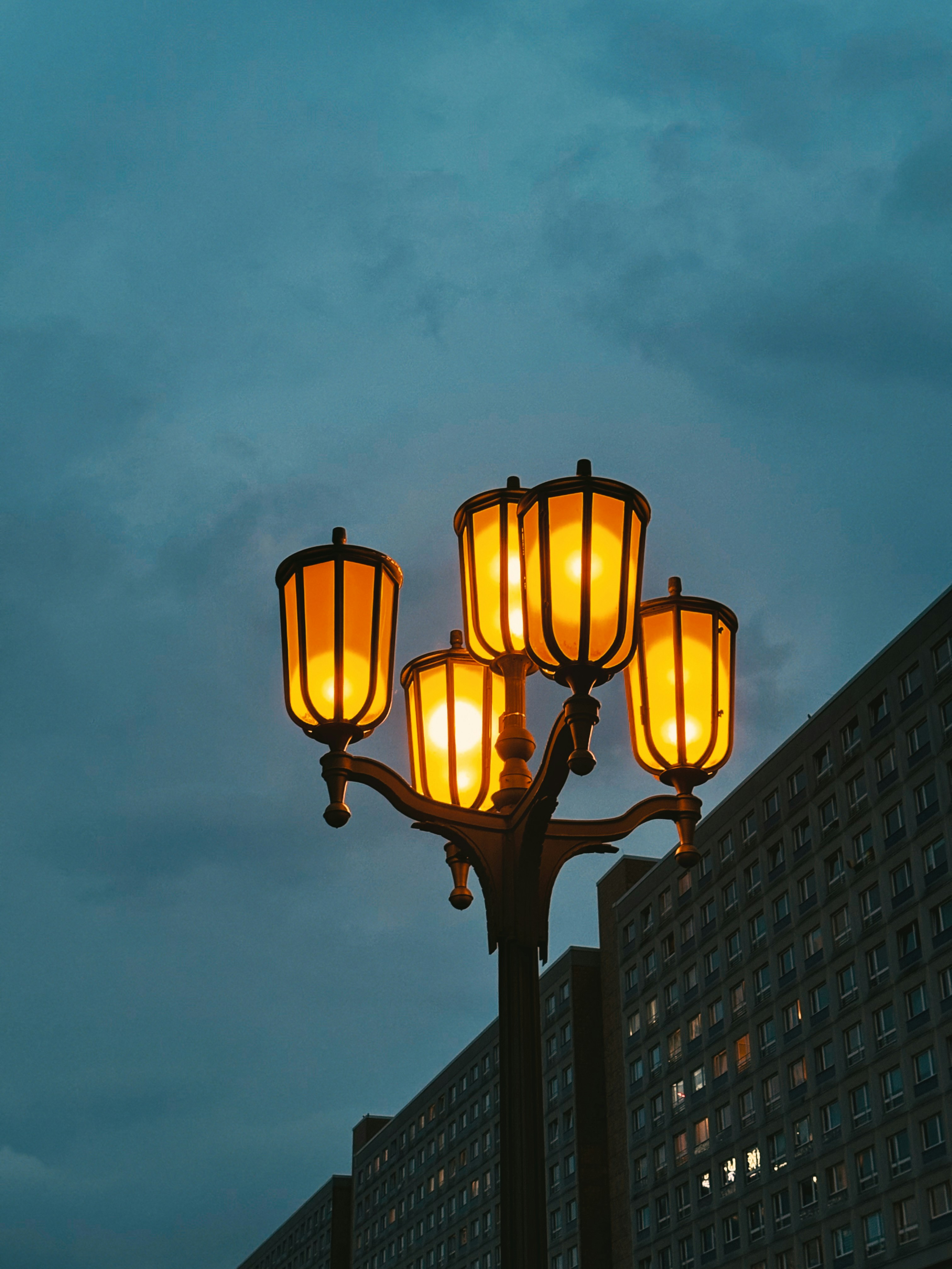 Photo by sanjanaladdha