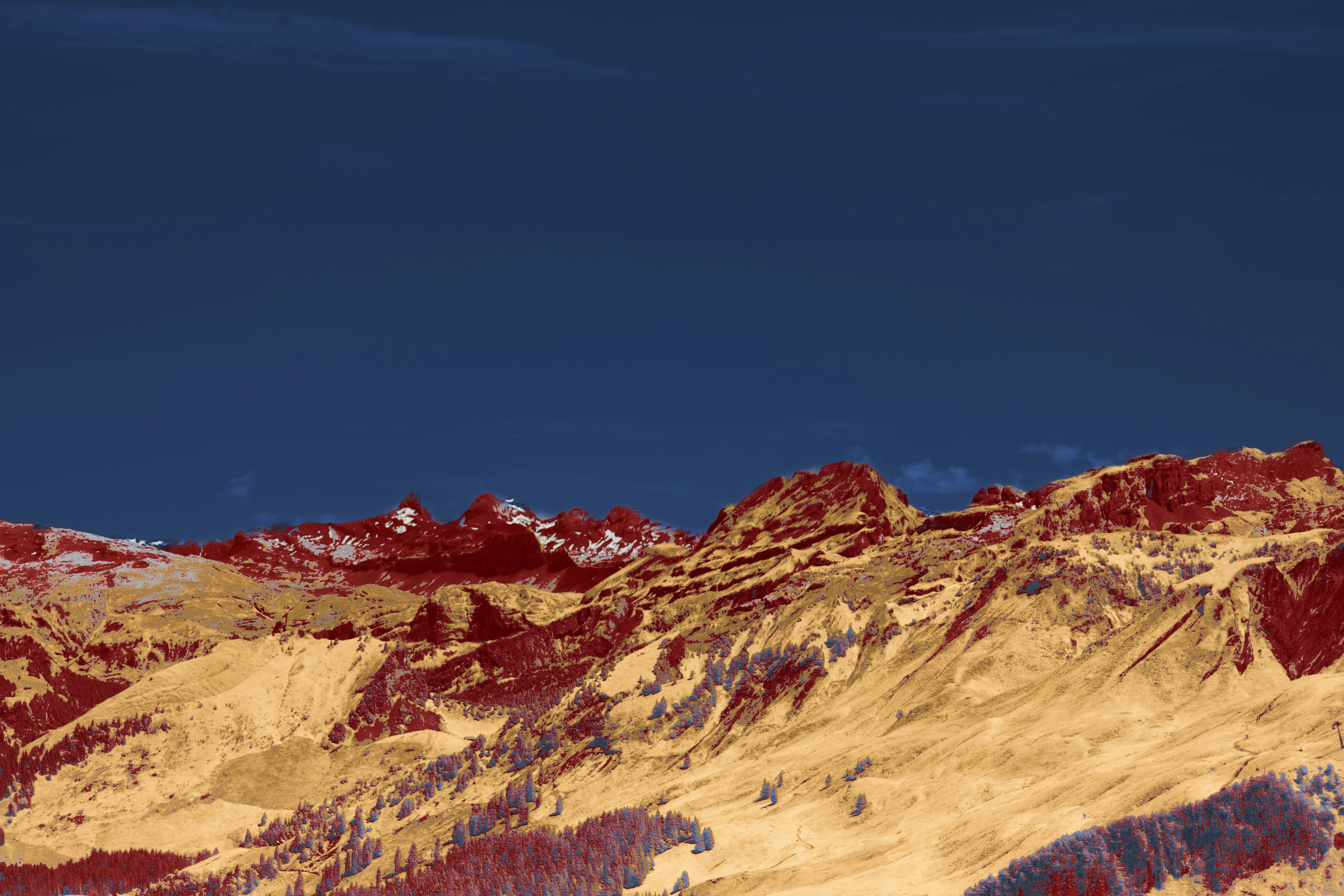 Photo by wolfgang_hasselmann