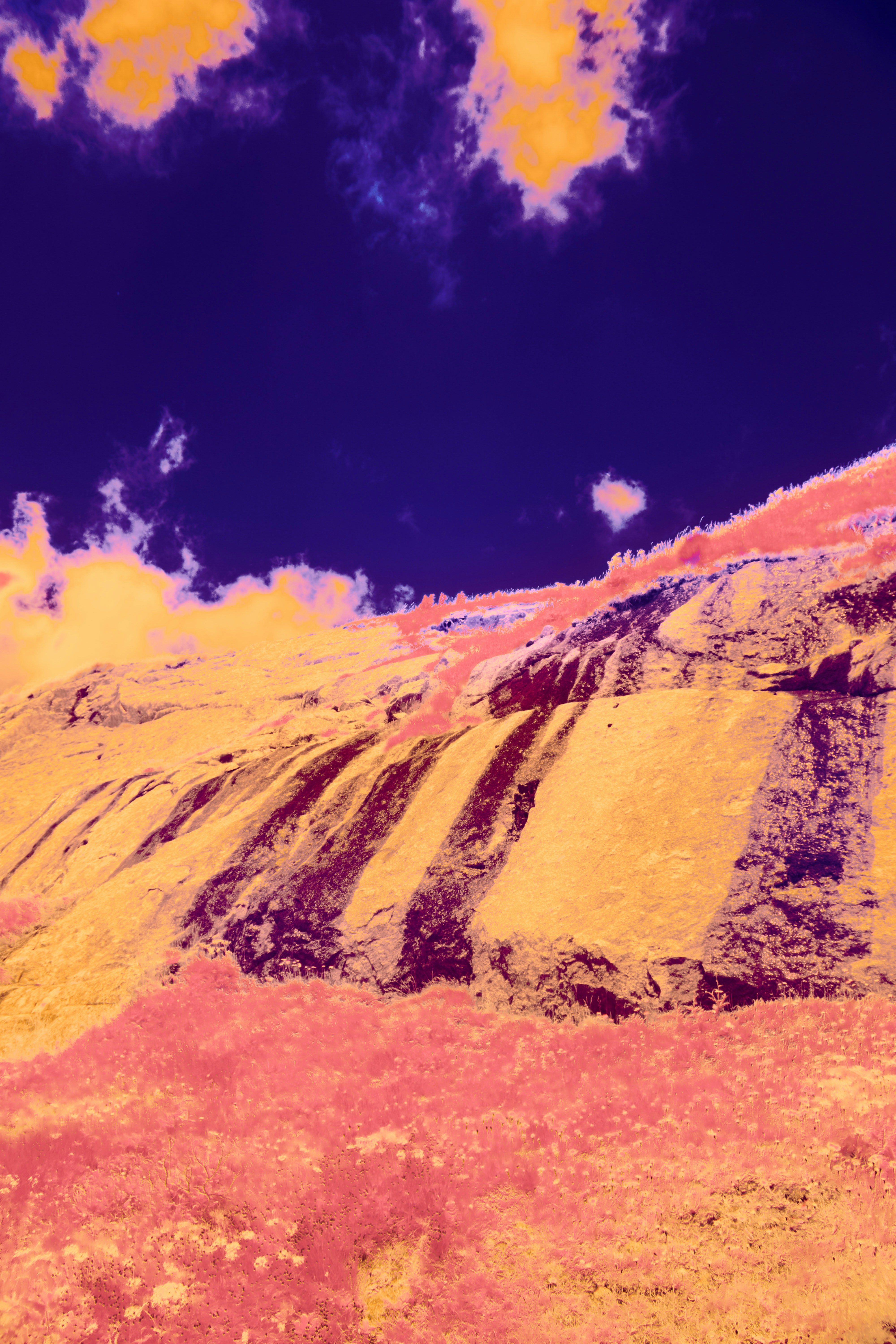 Photo by wolfgang_hasselmann