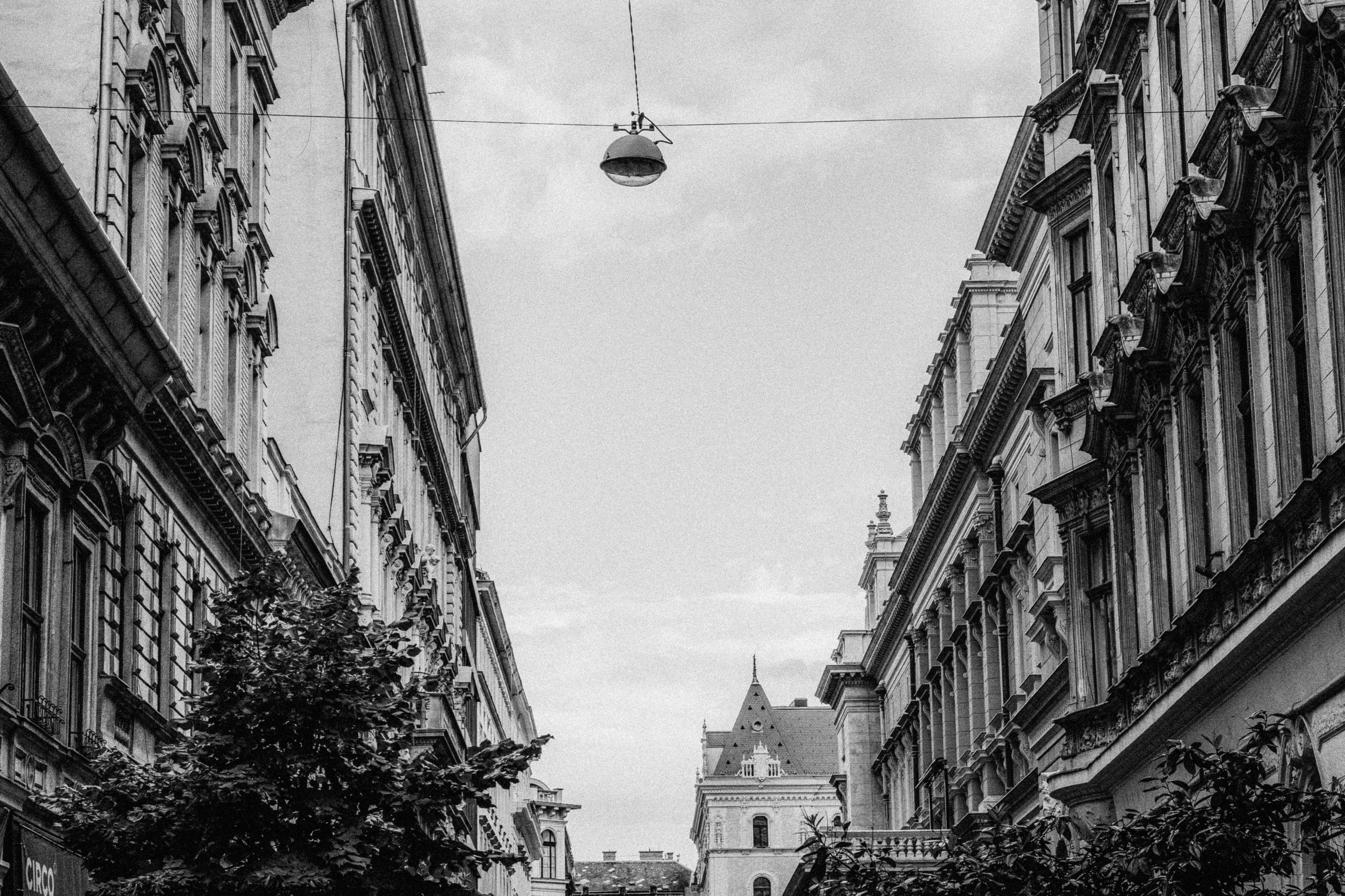 Photo by kateryna_senkevych