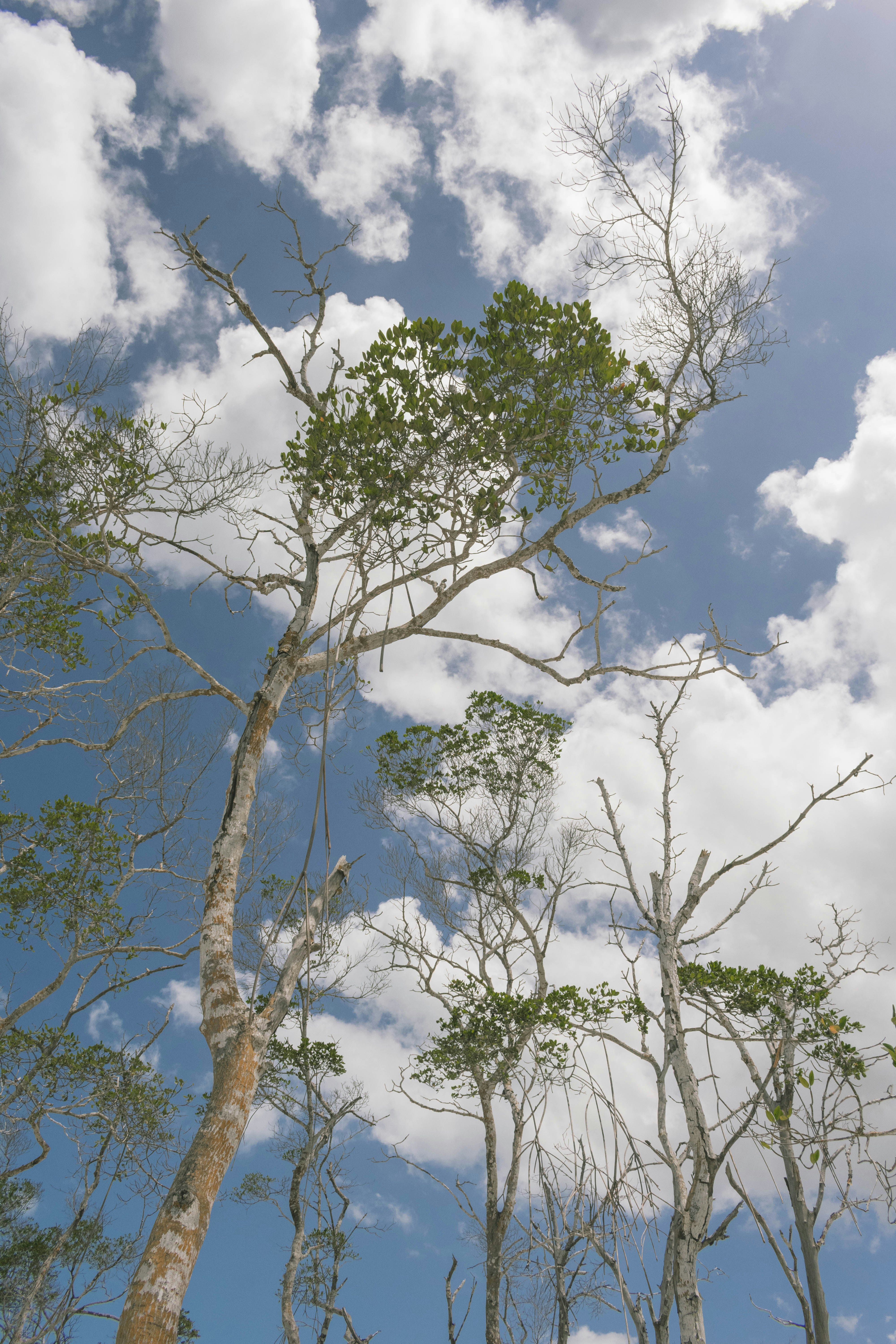 Photo by javideografia