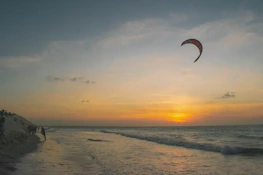 Kite surfing under a sunset on the beach.