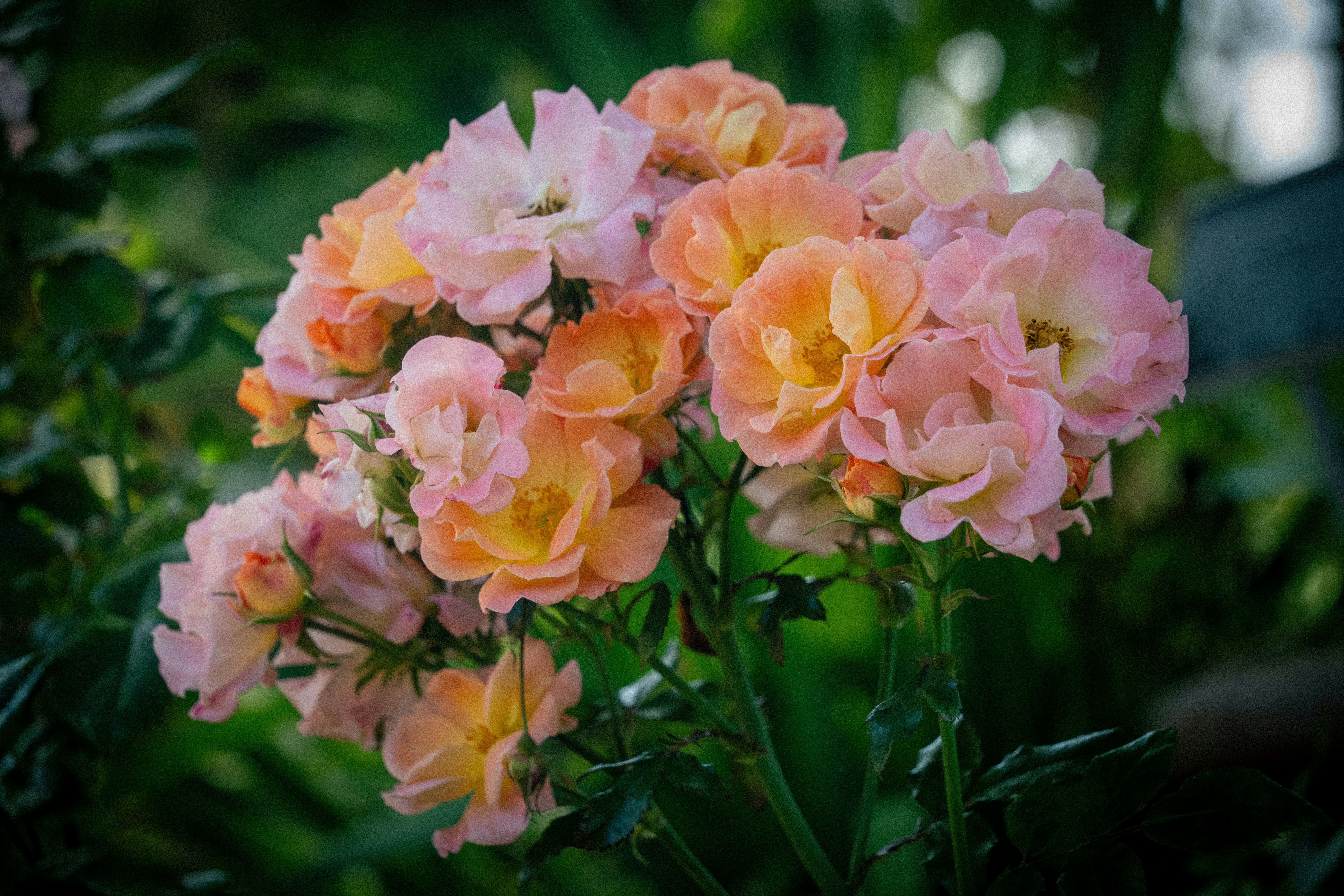 Photo by _itstheobraddock