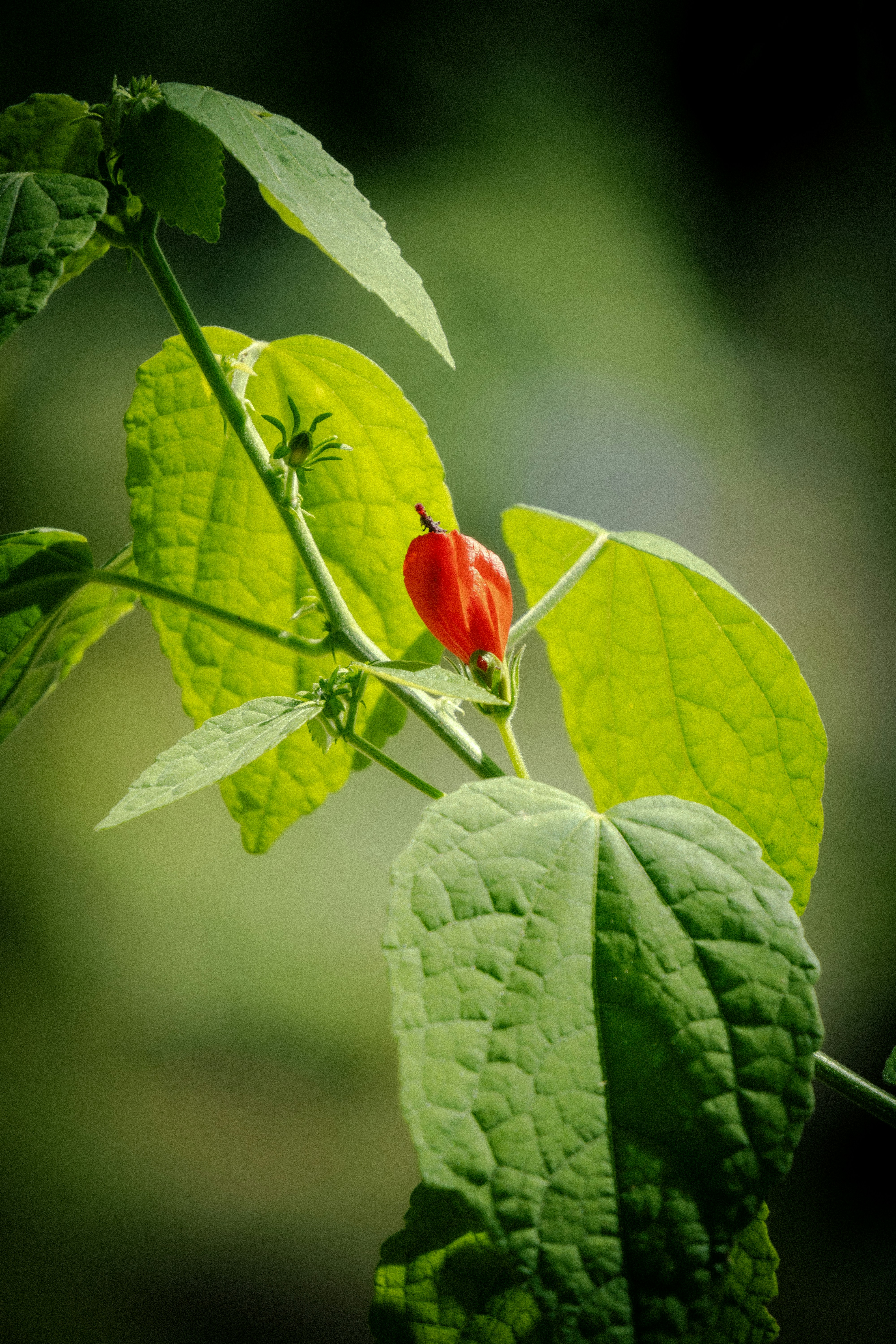 Photo by _itstheobraddock