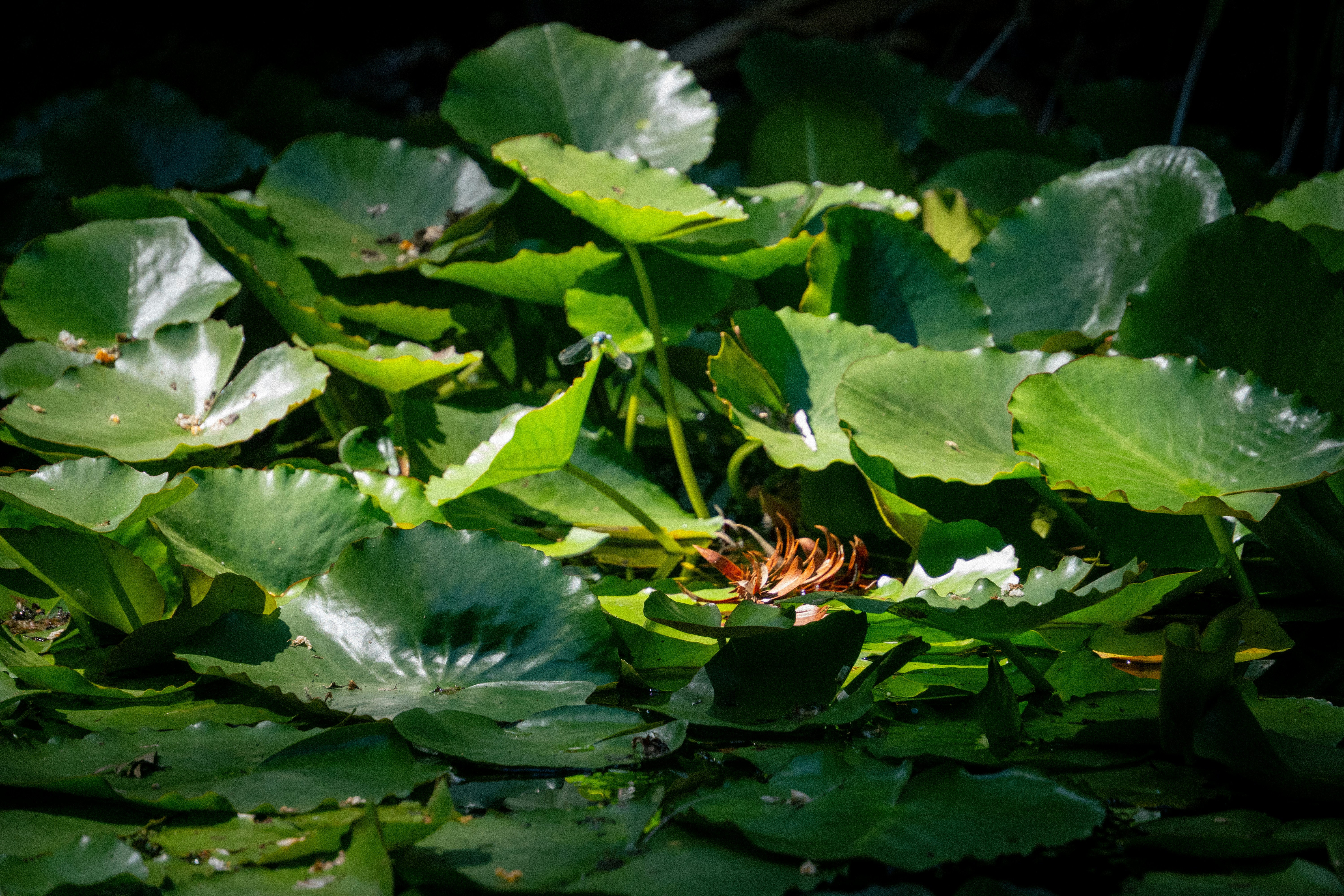 Photo by _itstheobraddock