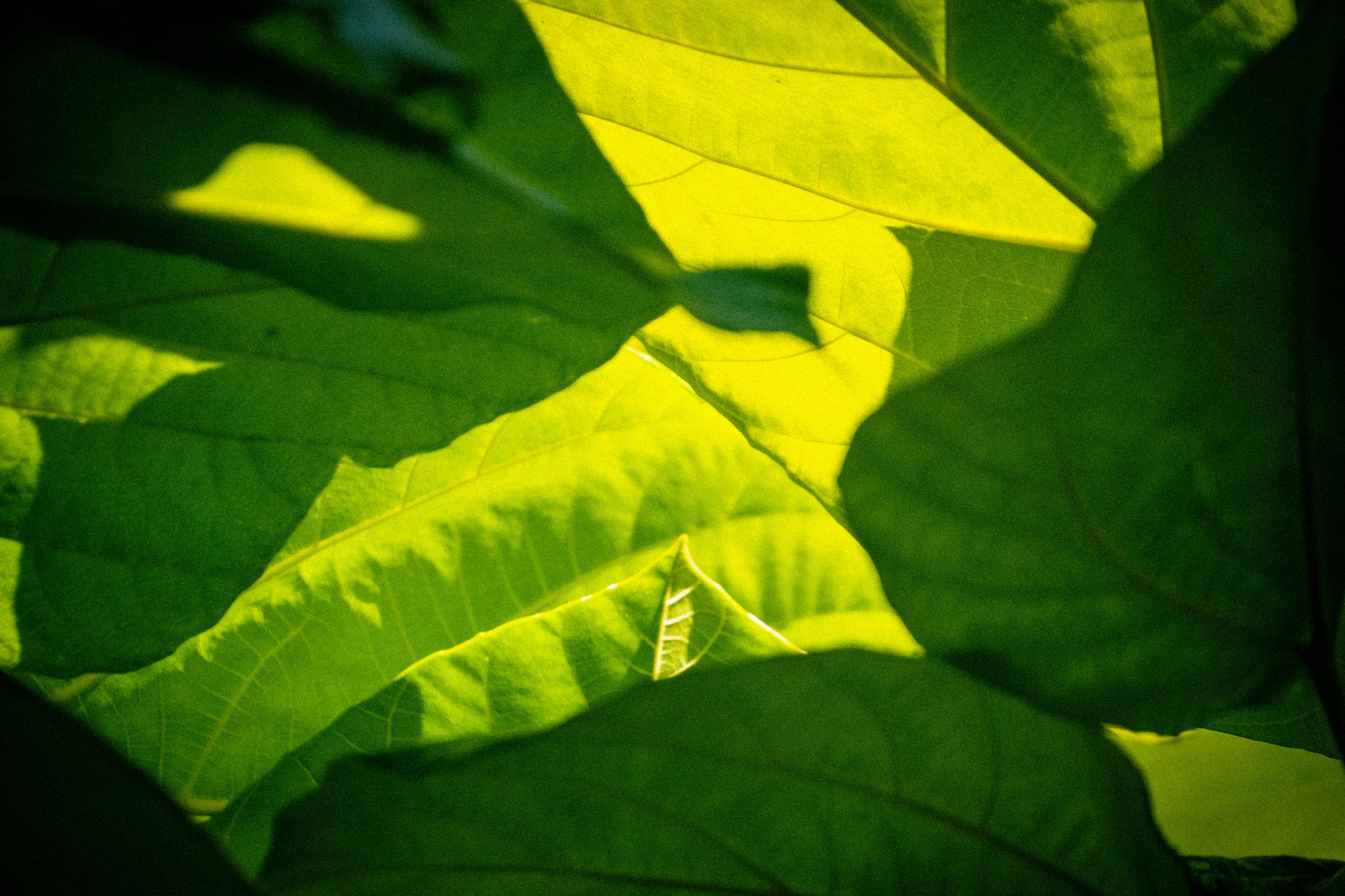 Photo by _itstheobraddock