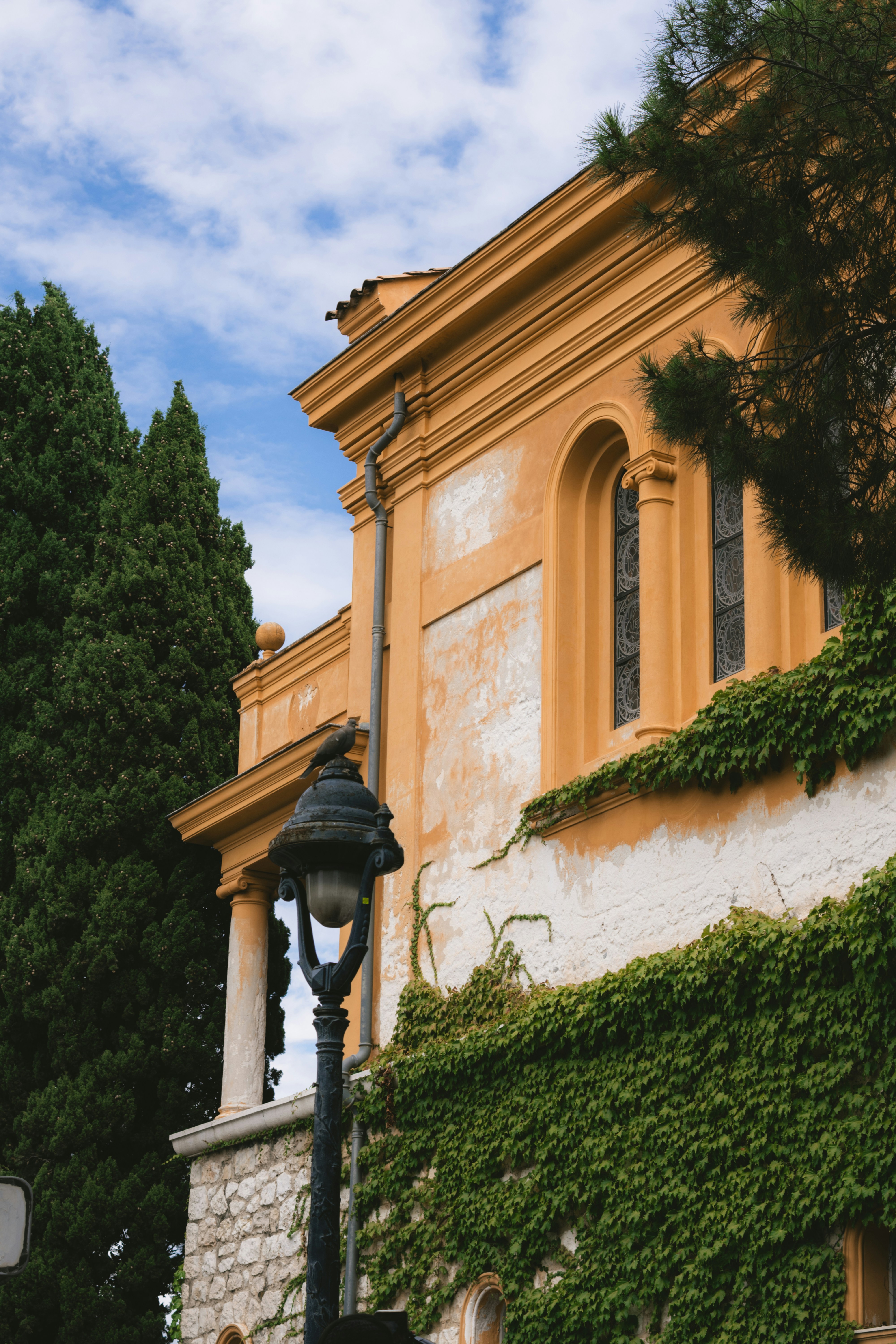 Photo by puskas_dominik