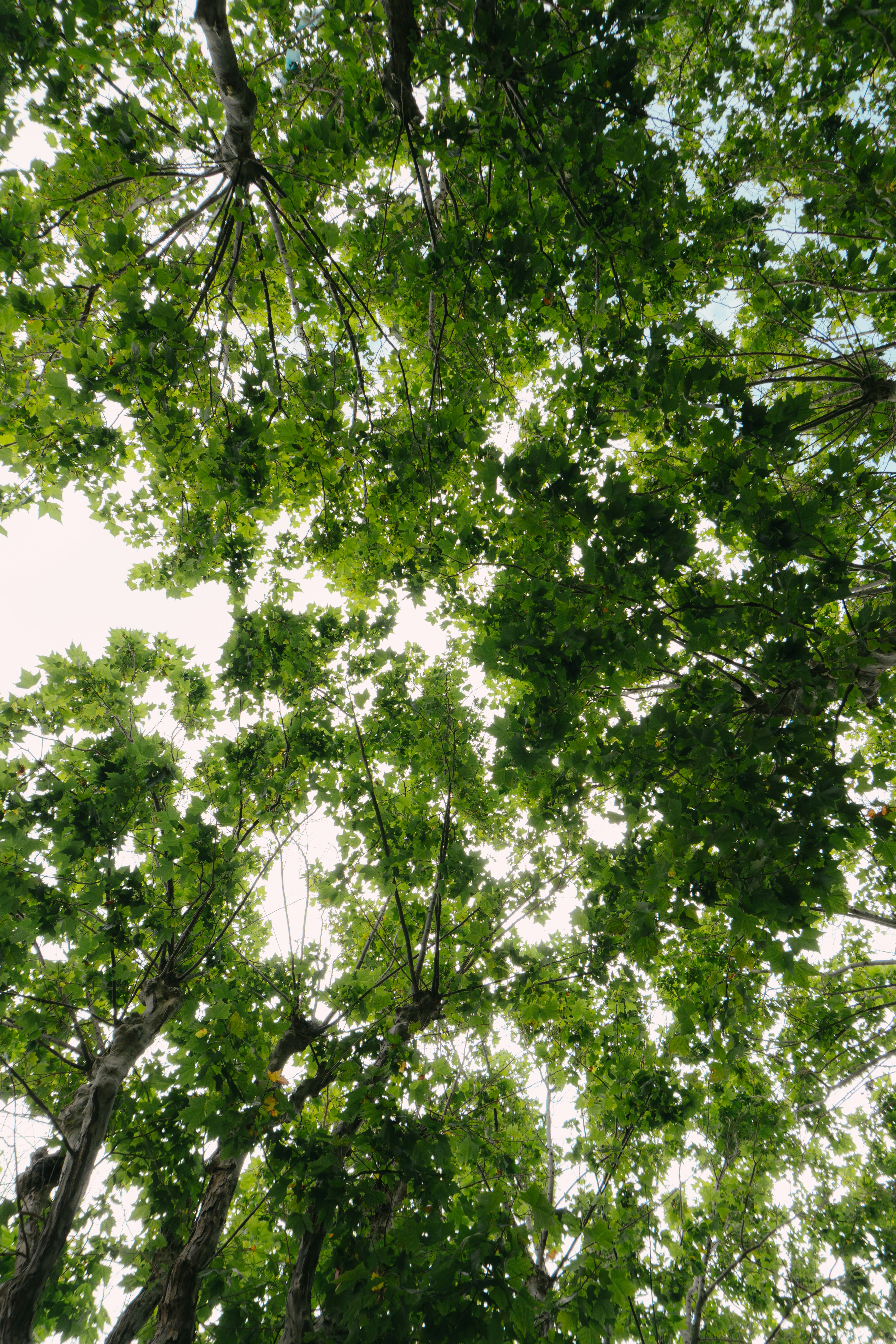 Photo by puskas_dominik