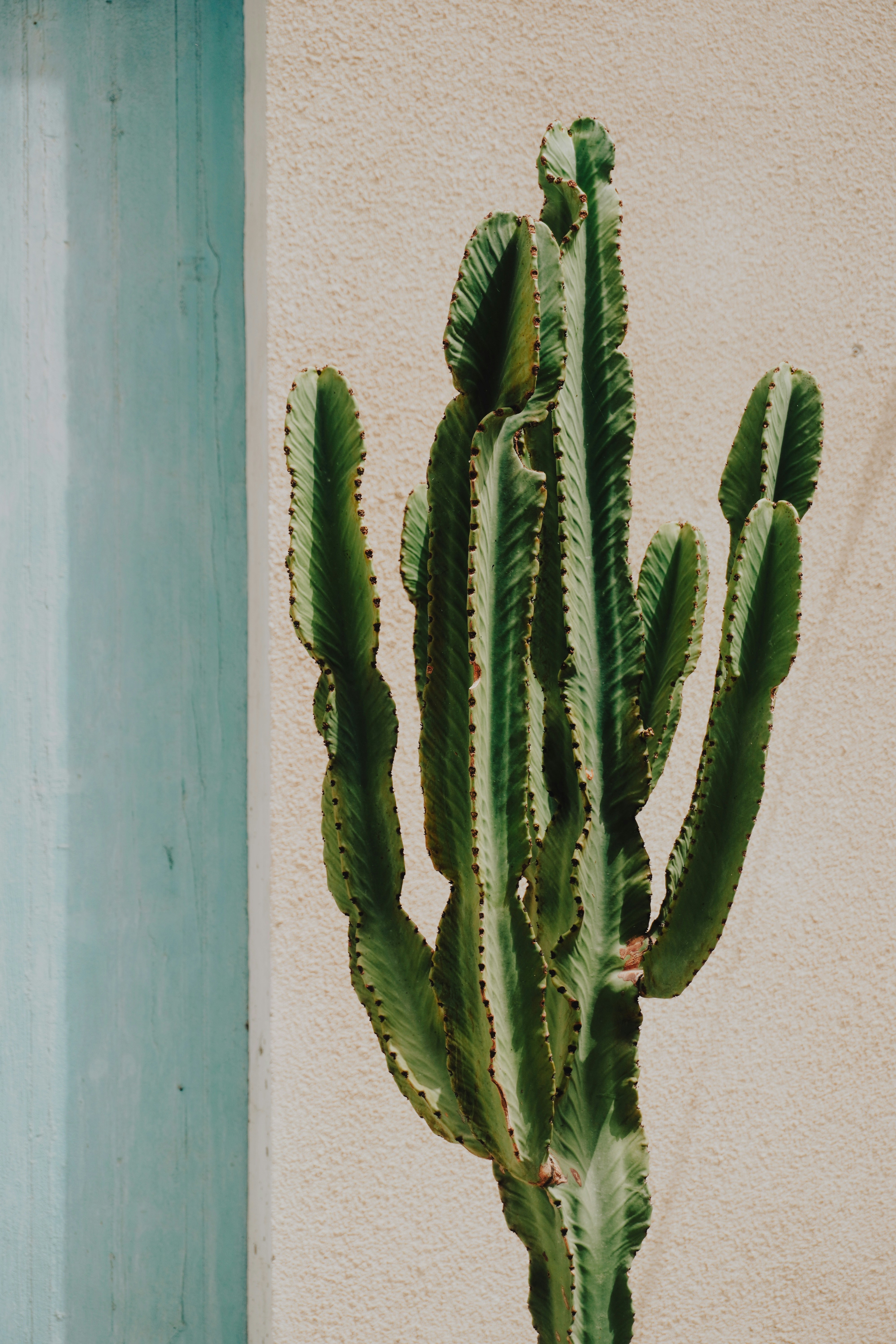 Photo by alettadnagy