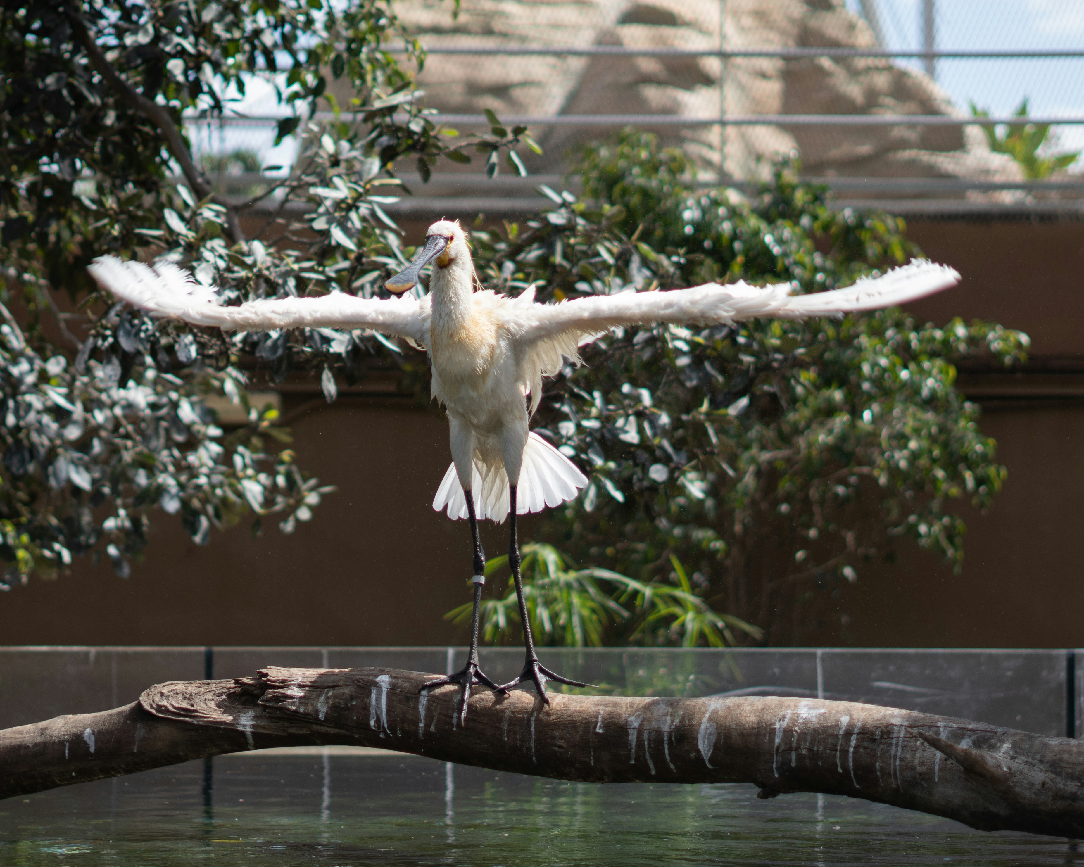 L’illusion autour des drones et de l’intelligence artificielle