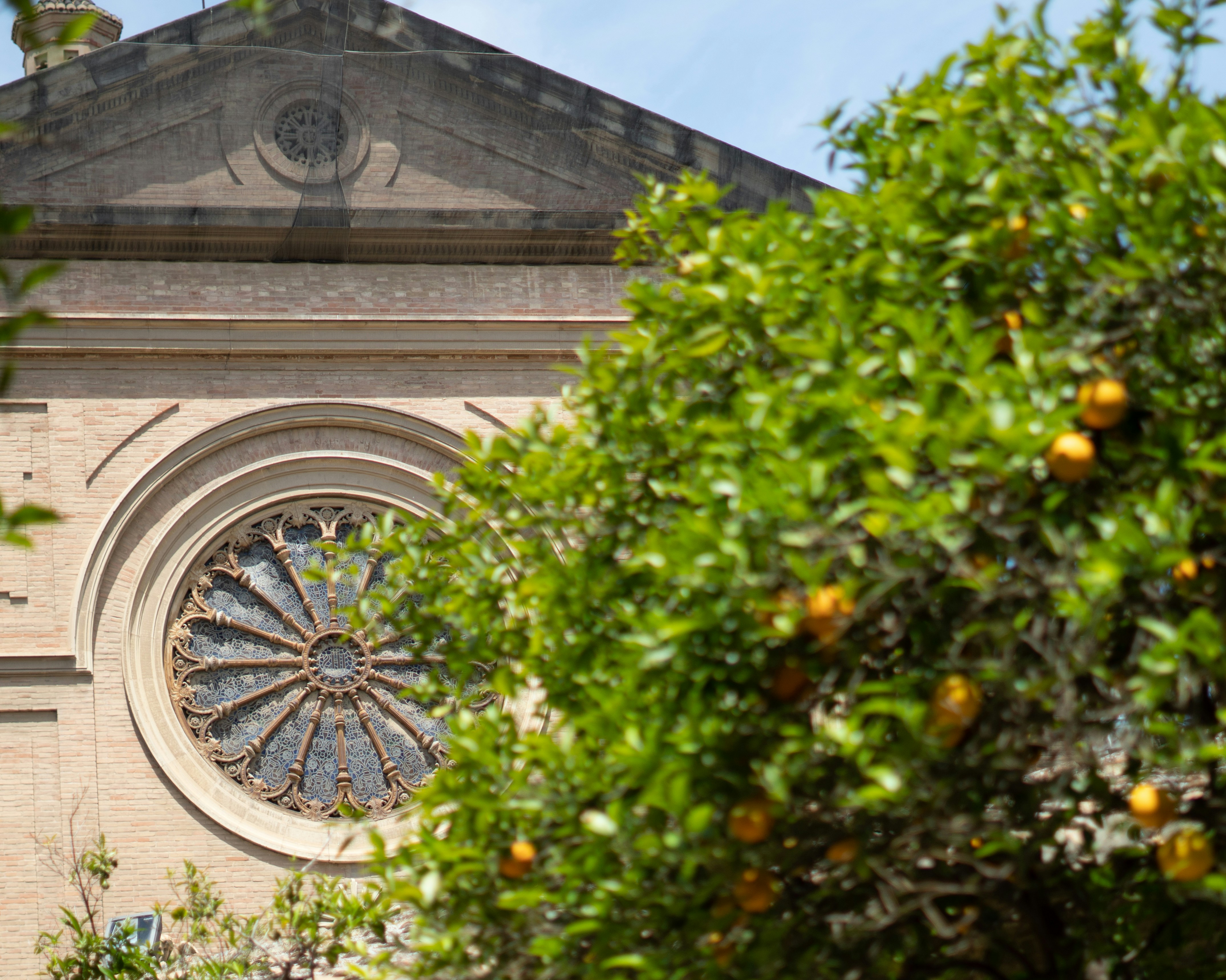 An ornate church facade is partially obscured by a tree.