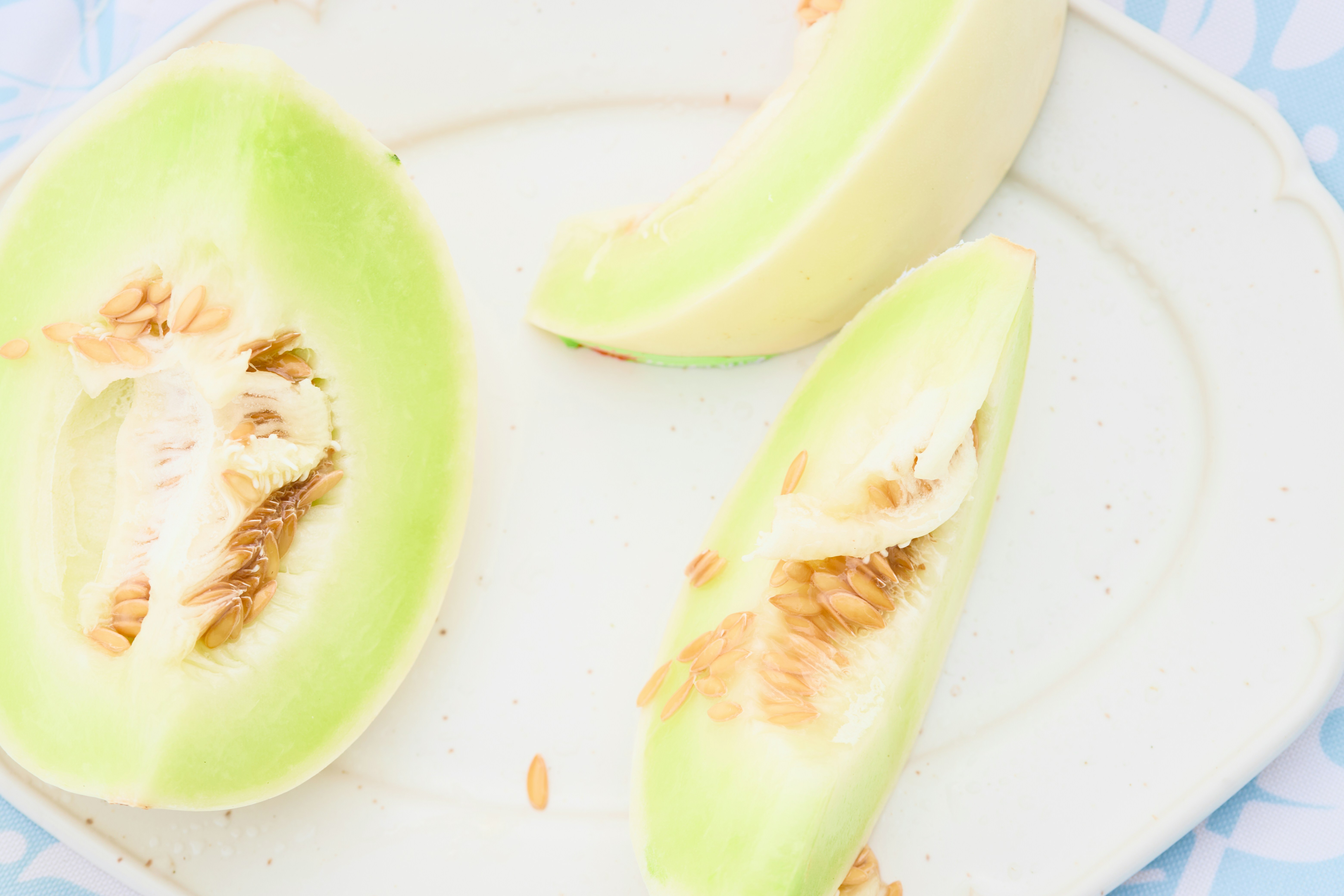 Slices of melon rest on a white plate.