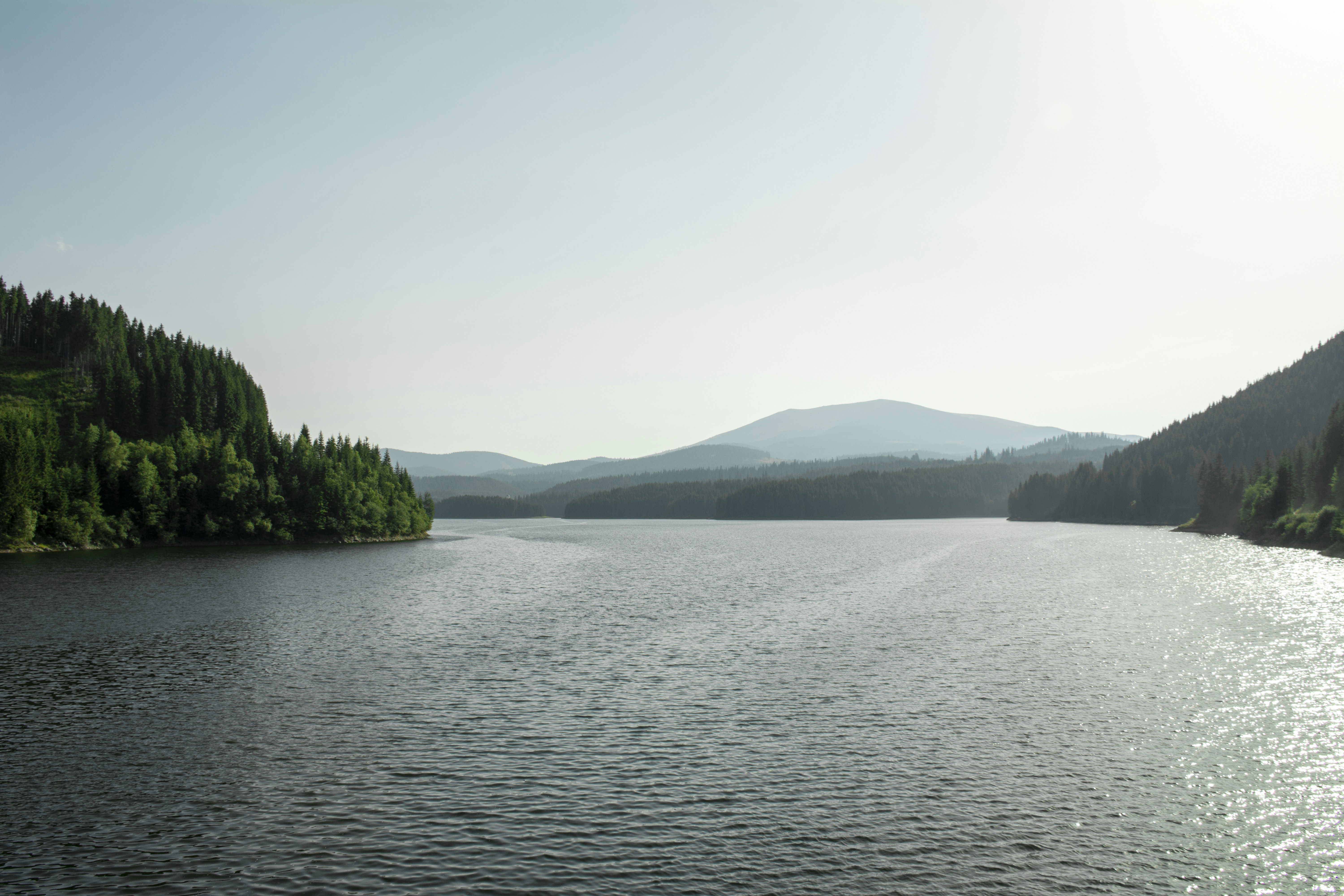 Photo by cerneigabriel