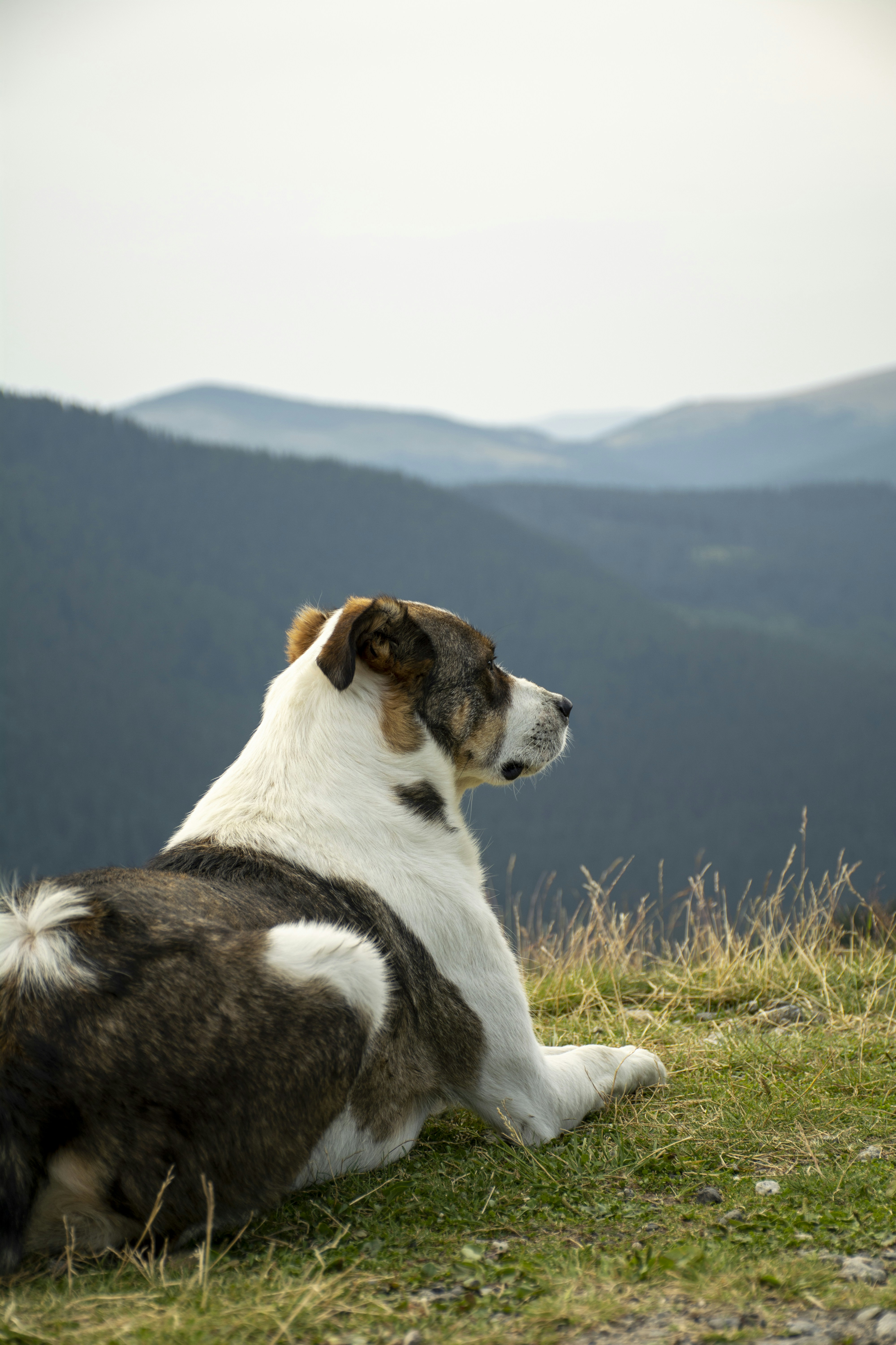 Photo by cerneigabriel