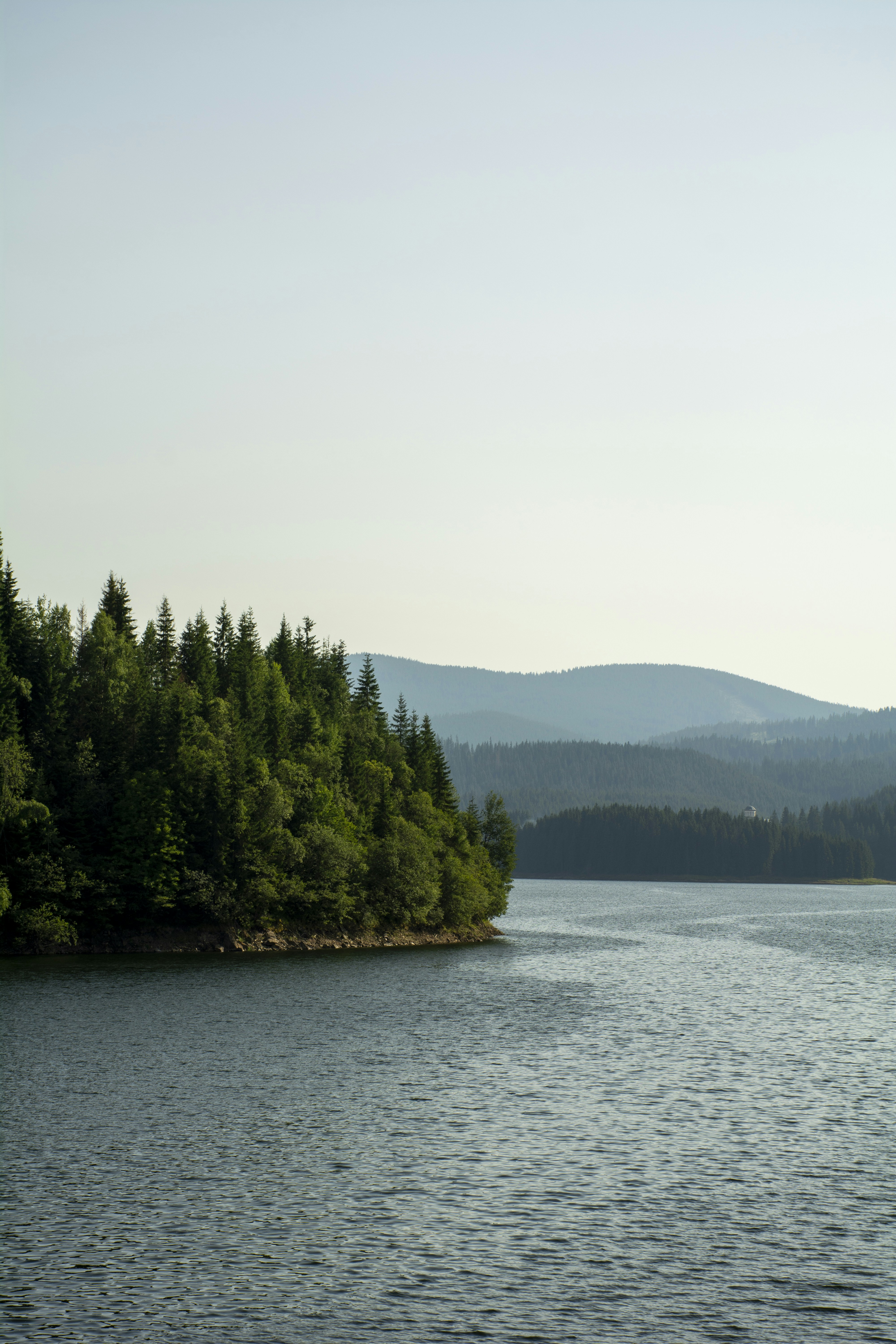 Photo by cerneigabriel