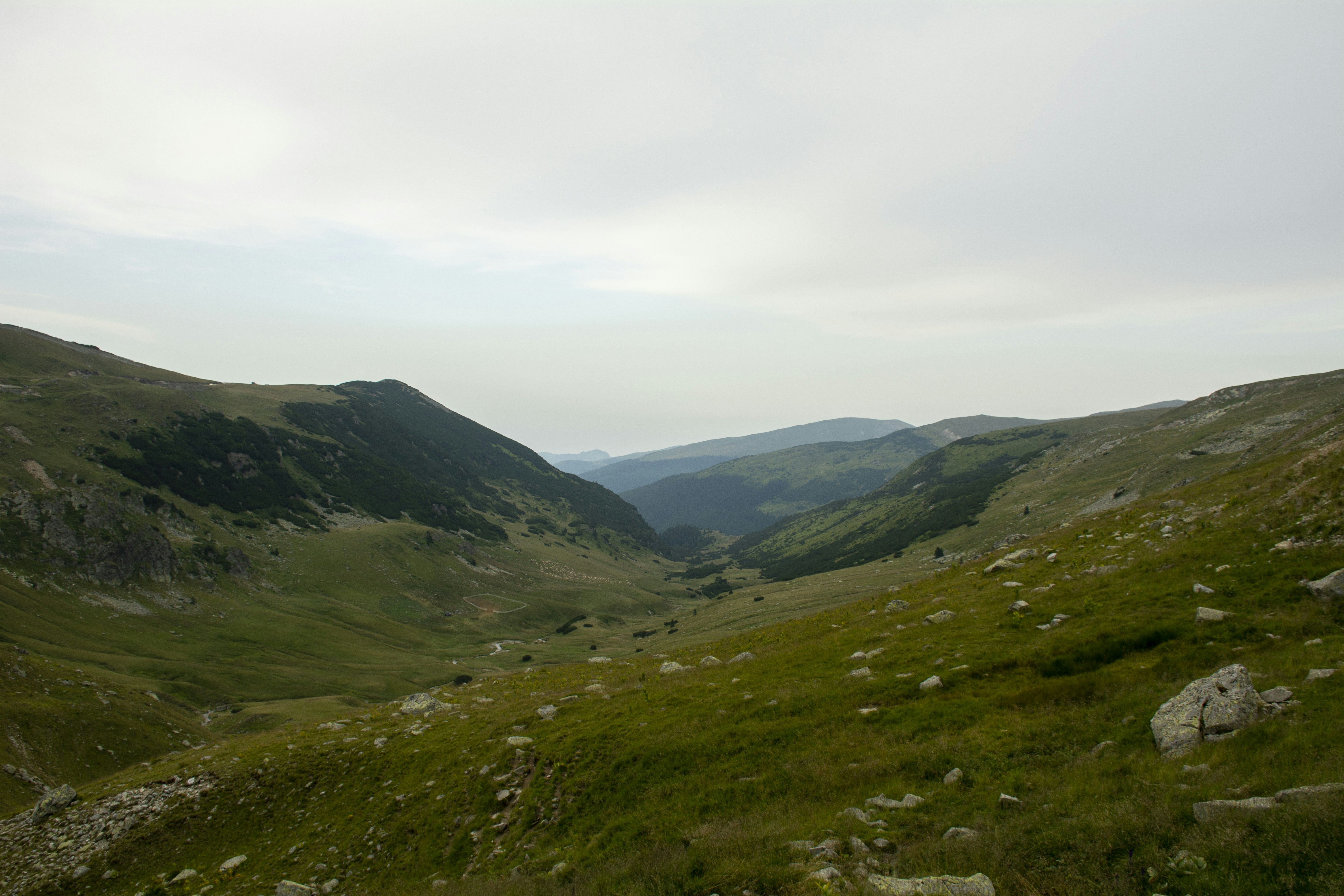 Photo by cerneigabriel