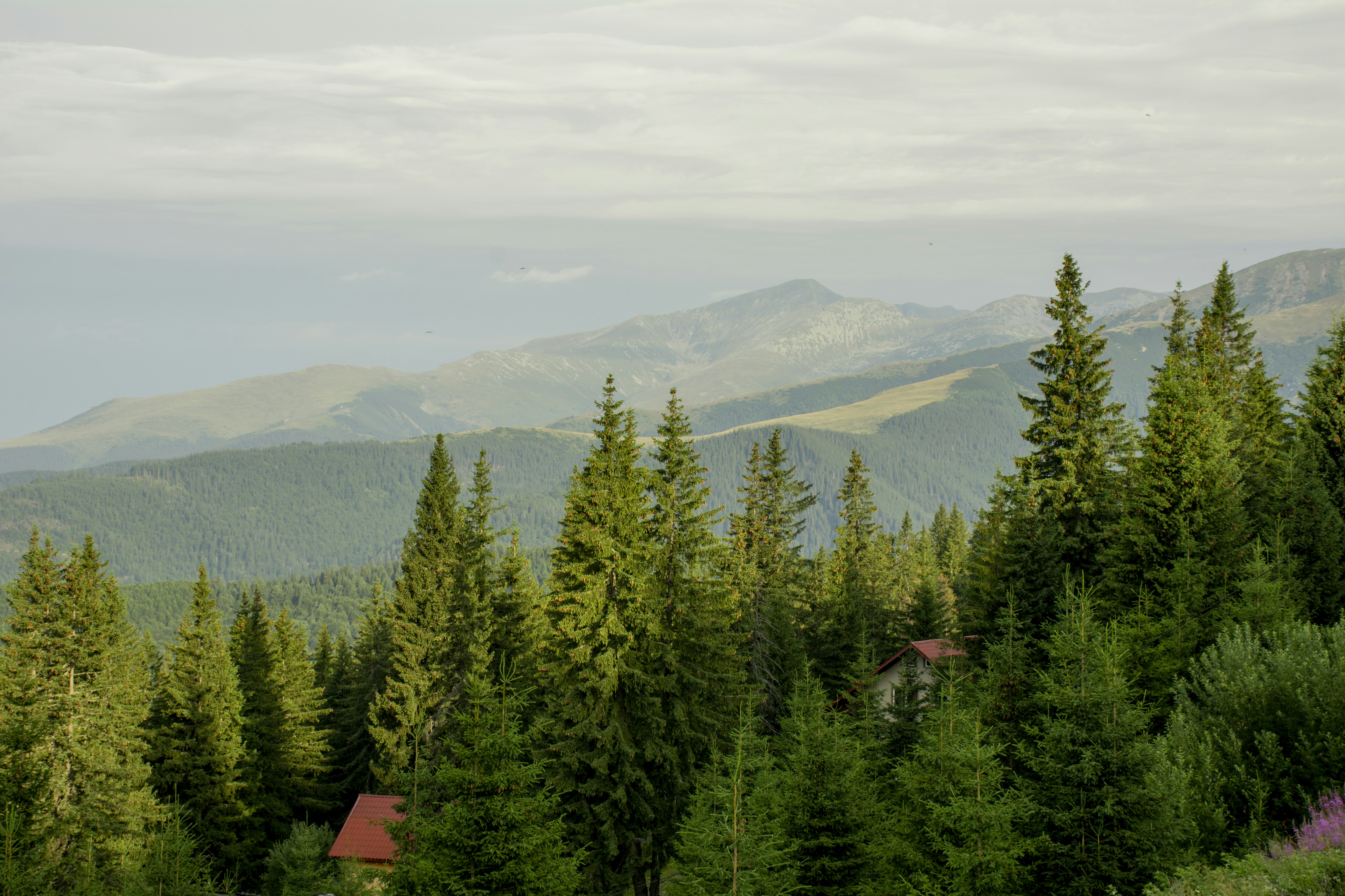 Photo by cerneigabriel