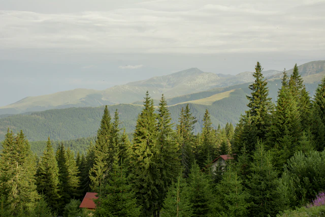 Cazare în Rânca