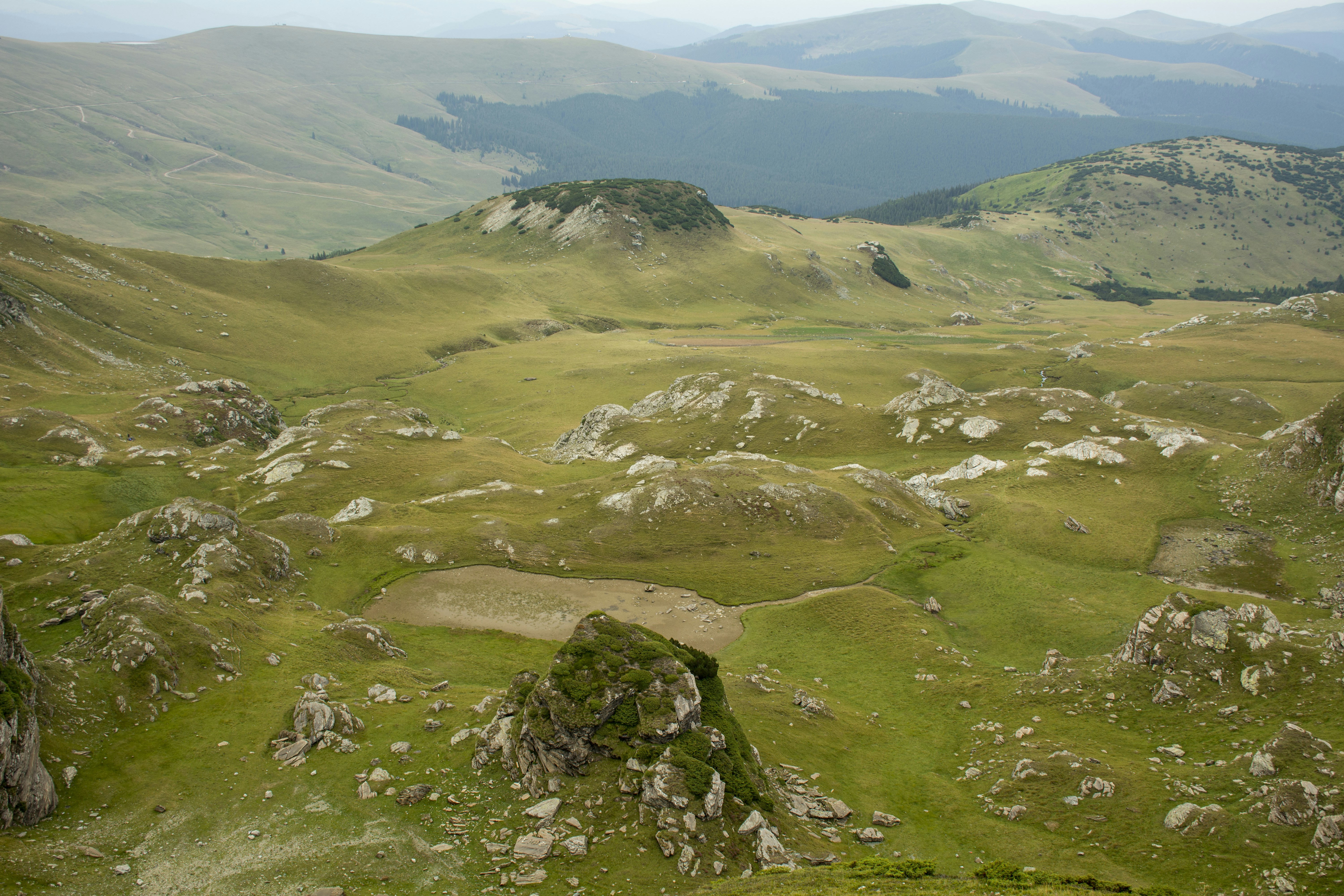 Photo by cerneigabriel