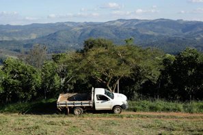 A white truck drives on a grassy hillside.