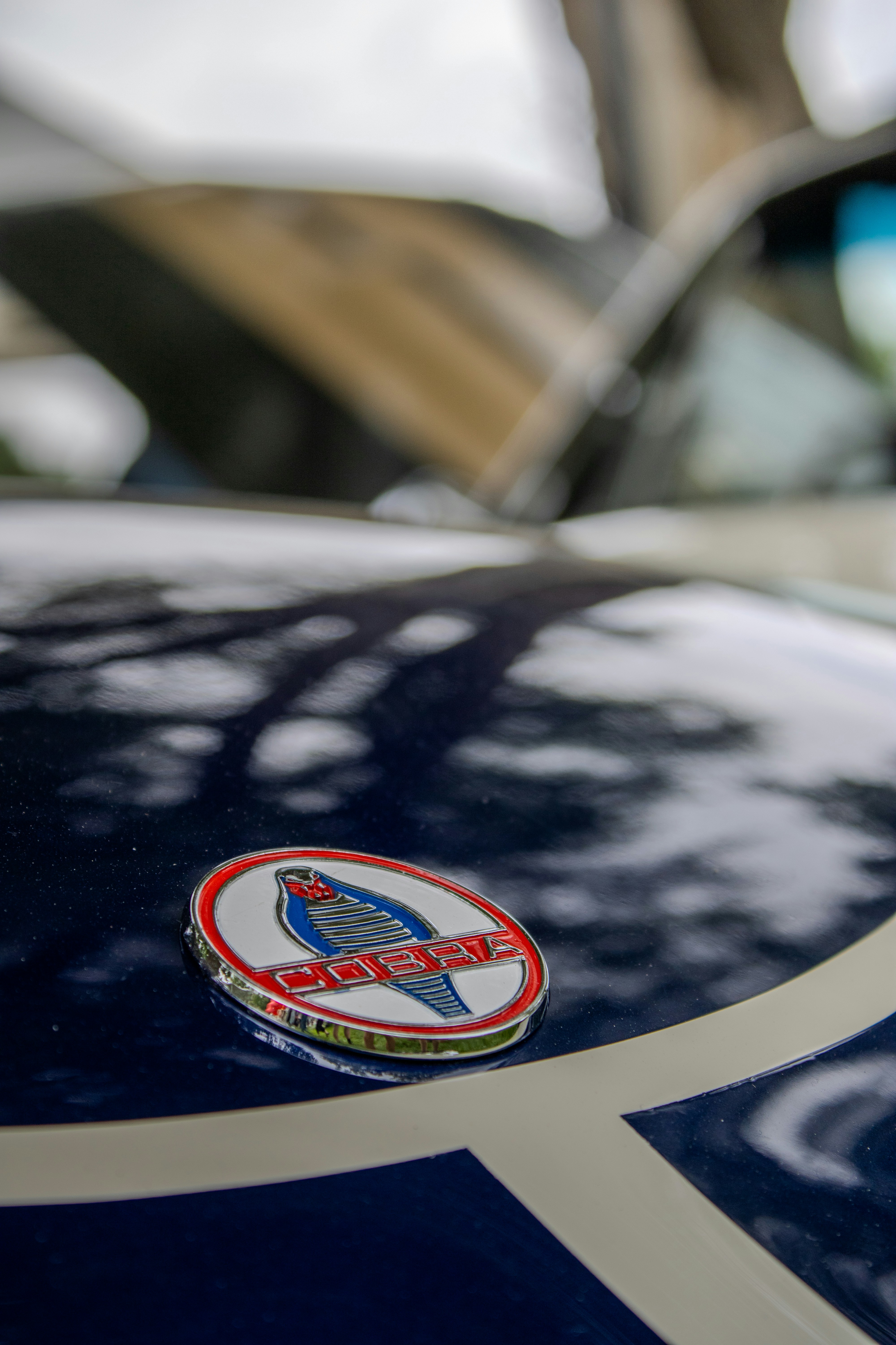 Auf einem Auto ist ein Kobra-Emblem zu sehen.