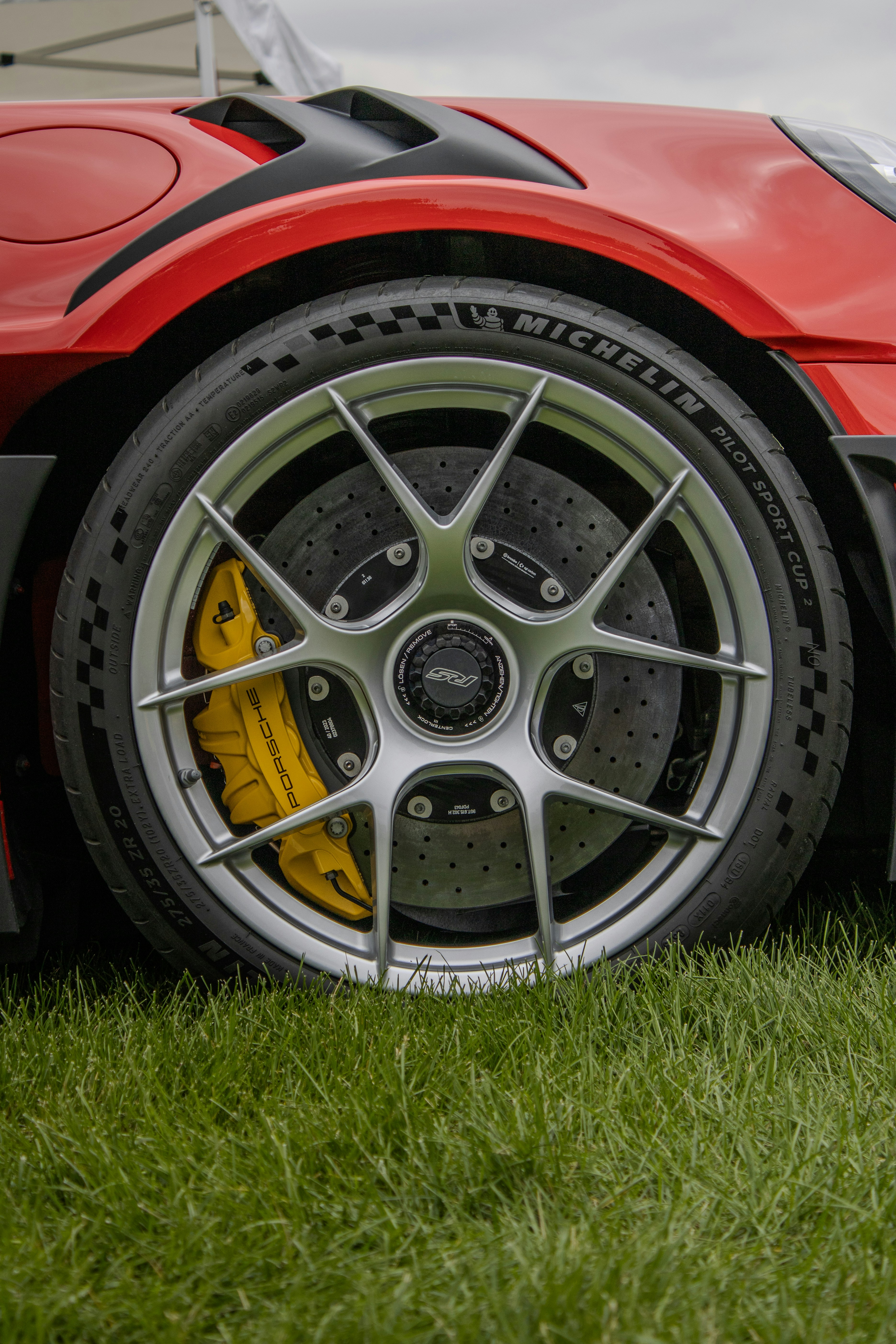 Photo by swanny__photography