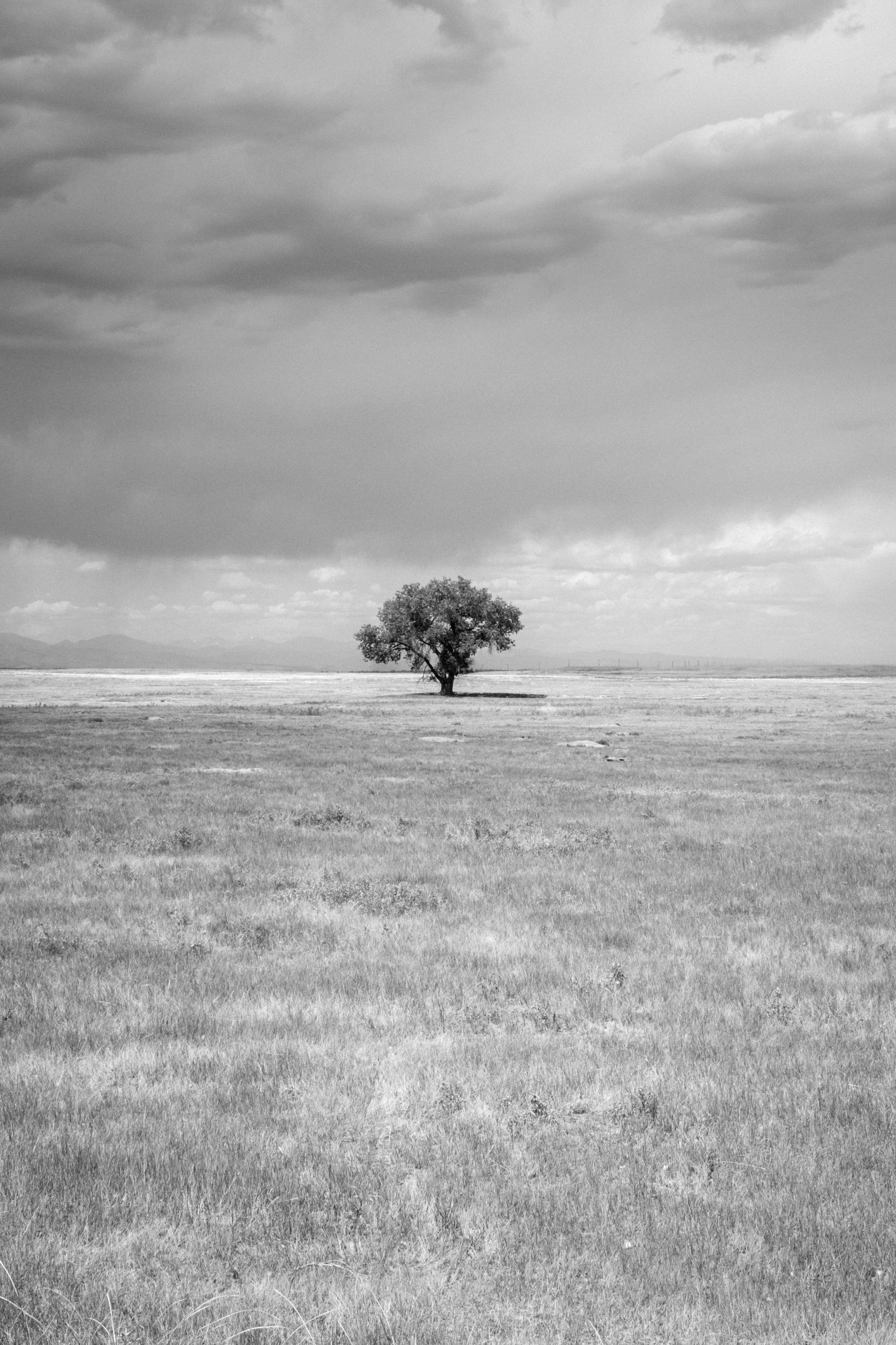 Photo by peterbbryan