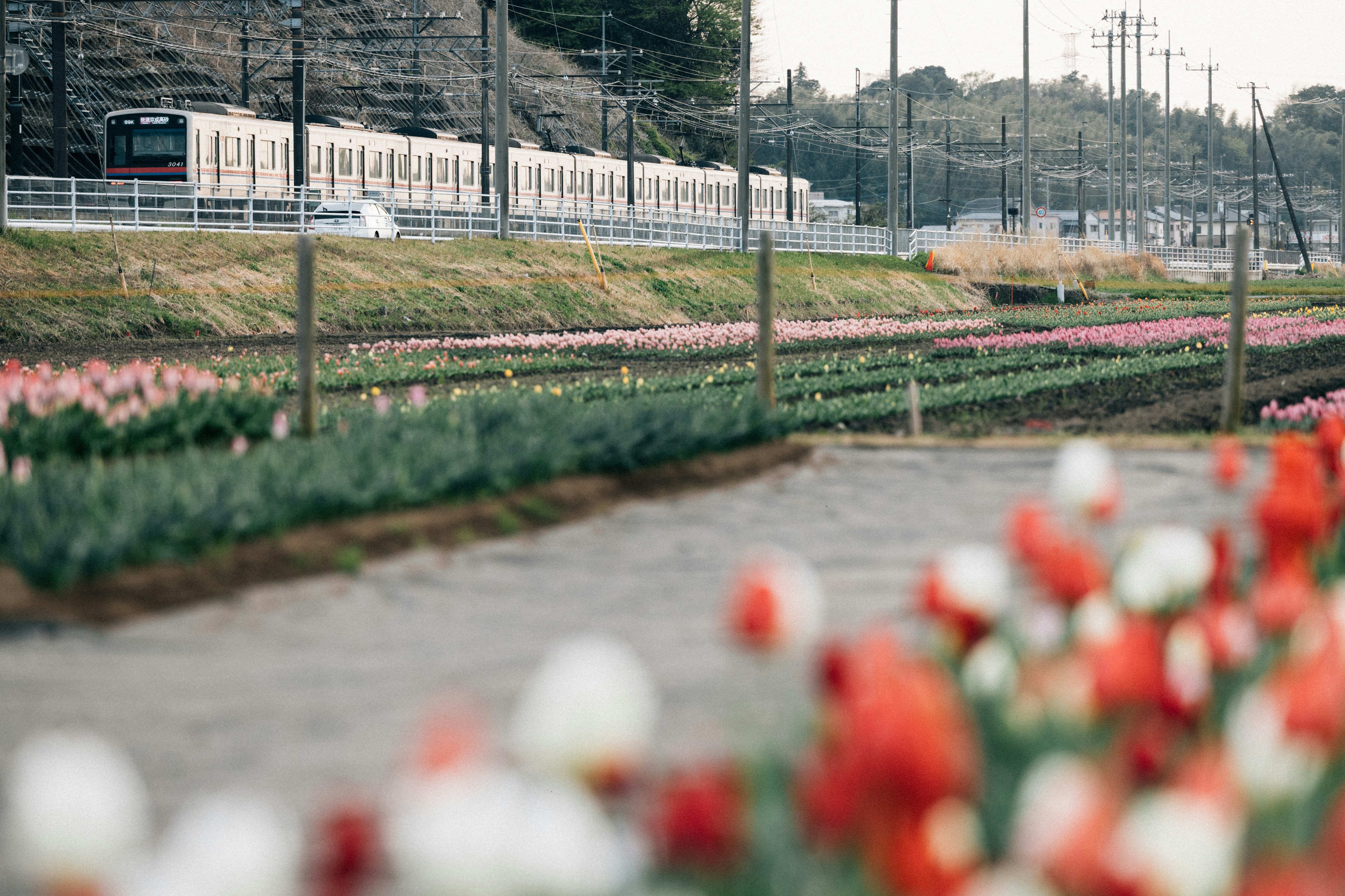 Kominato Railway (Yoro-Keikoku Station)
