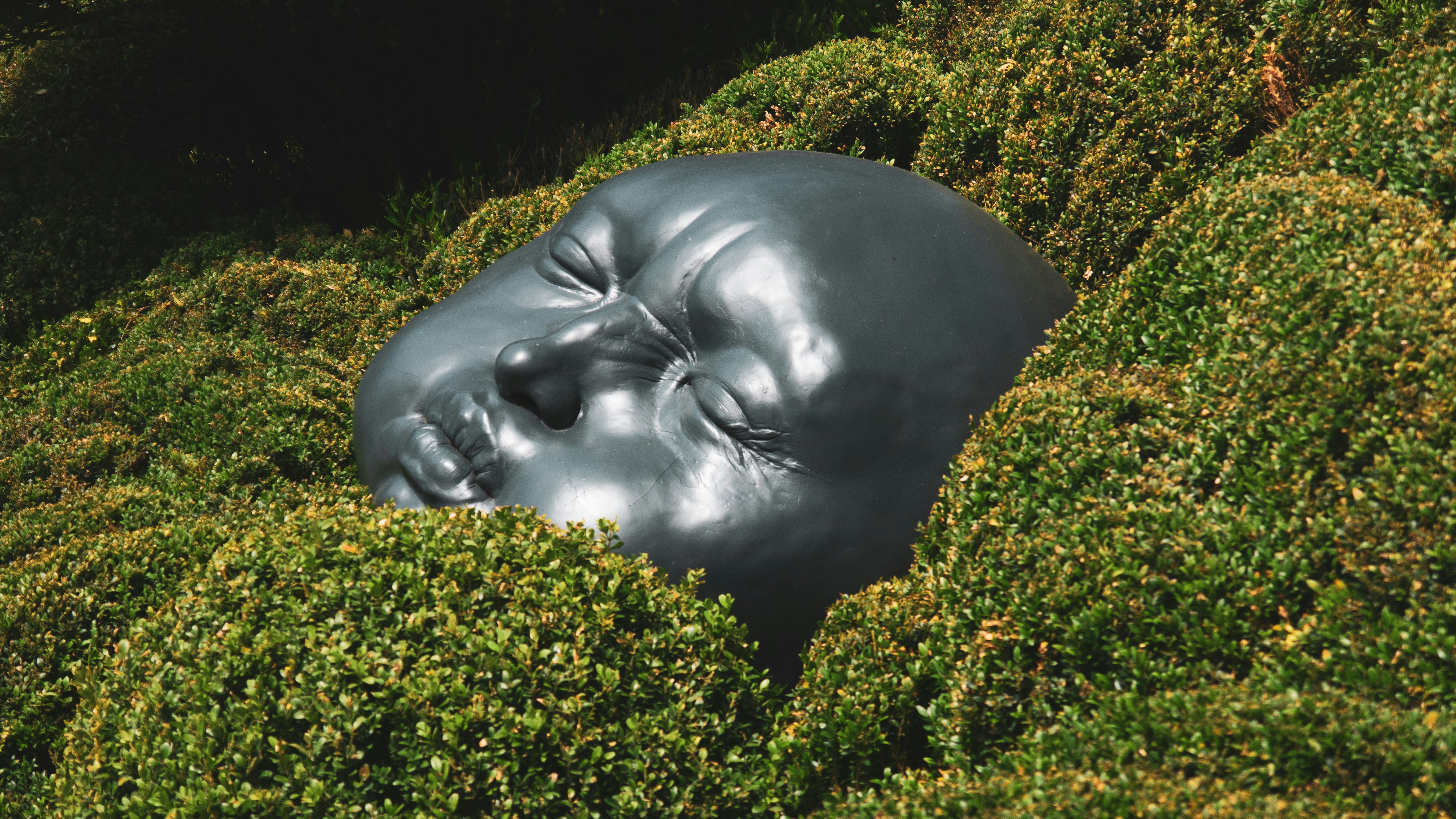 Sculpture monumentale de visage reposant dans une haie de buis.
