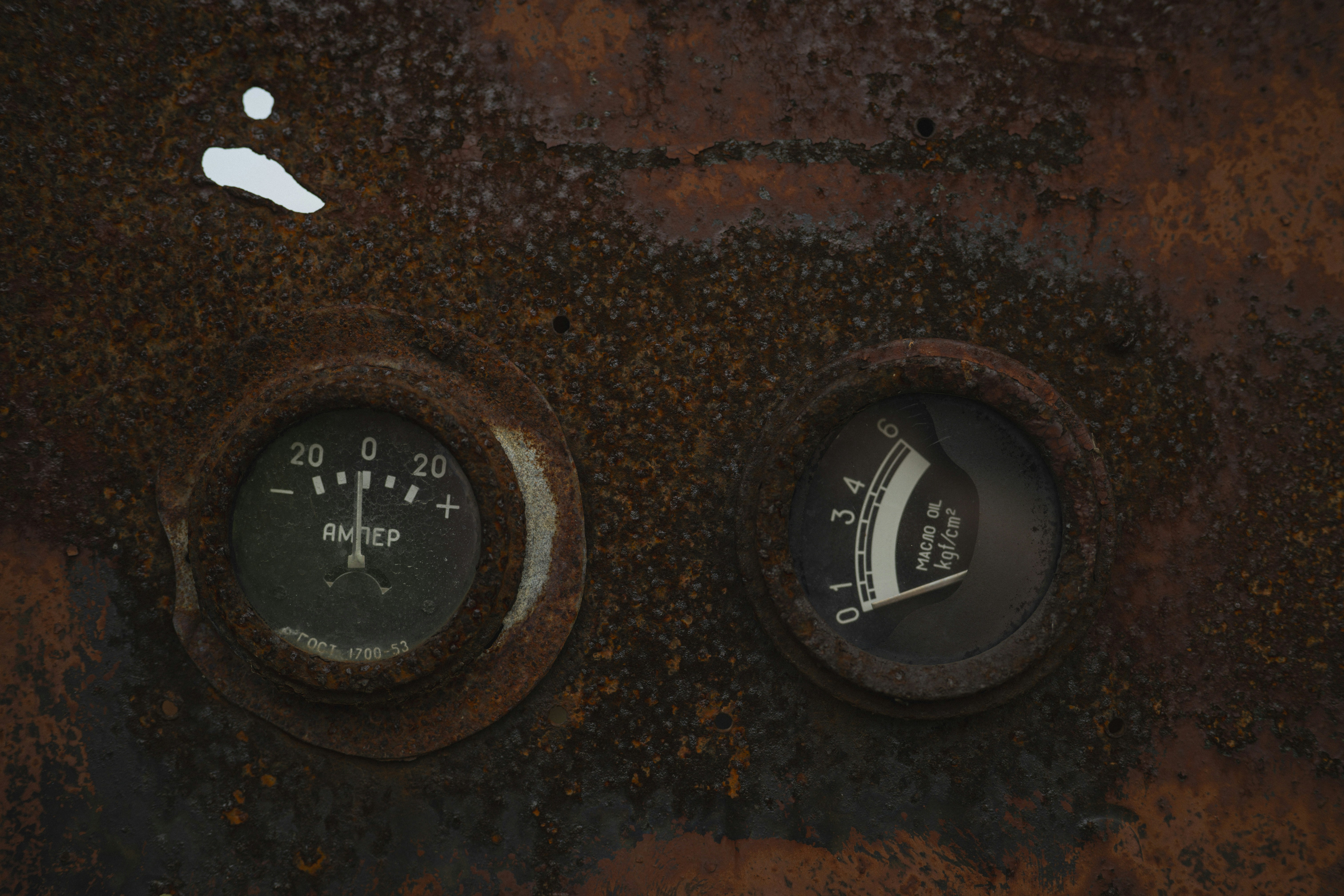 Photo by vonshnauzer