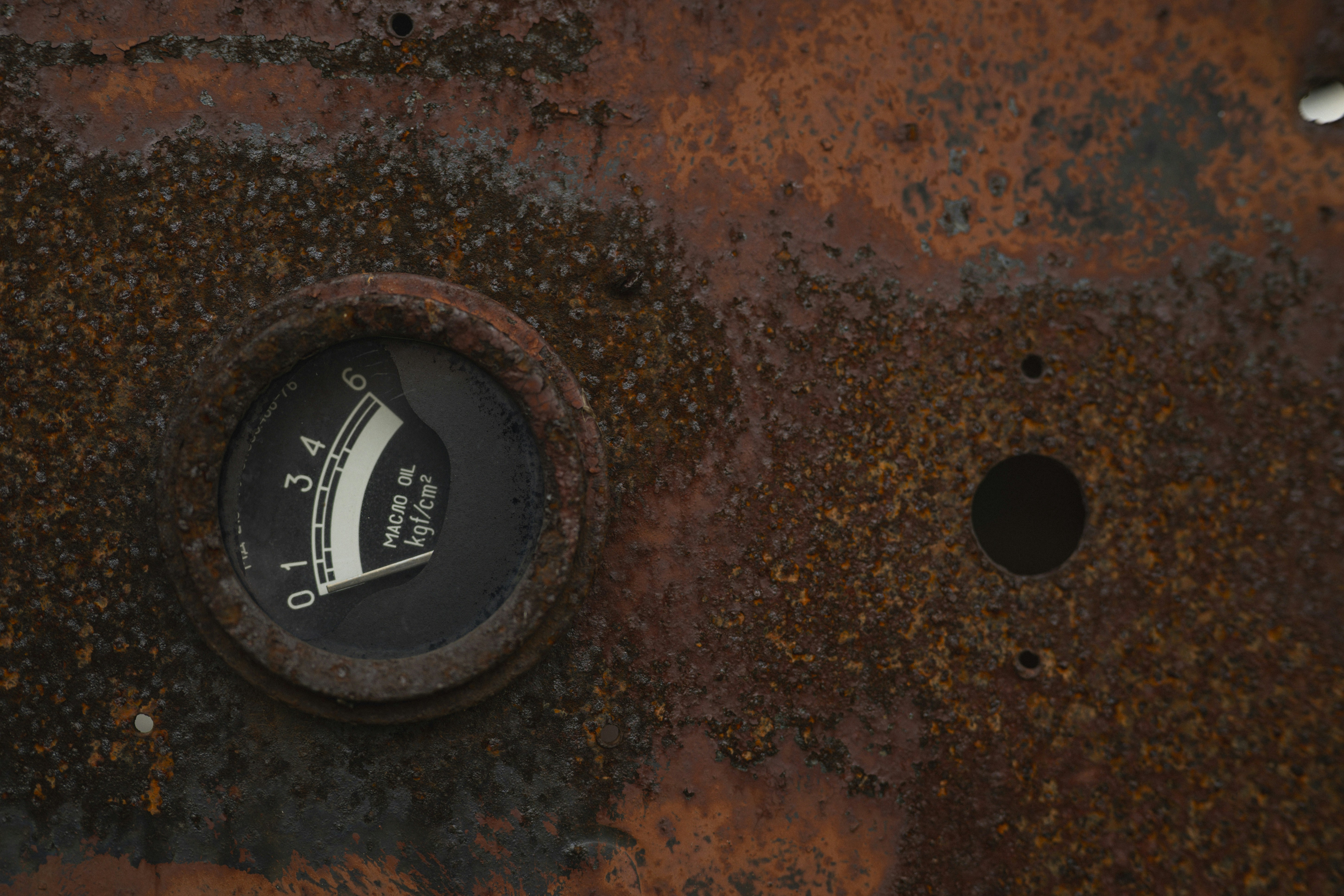 Photo by vonshnauzer