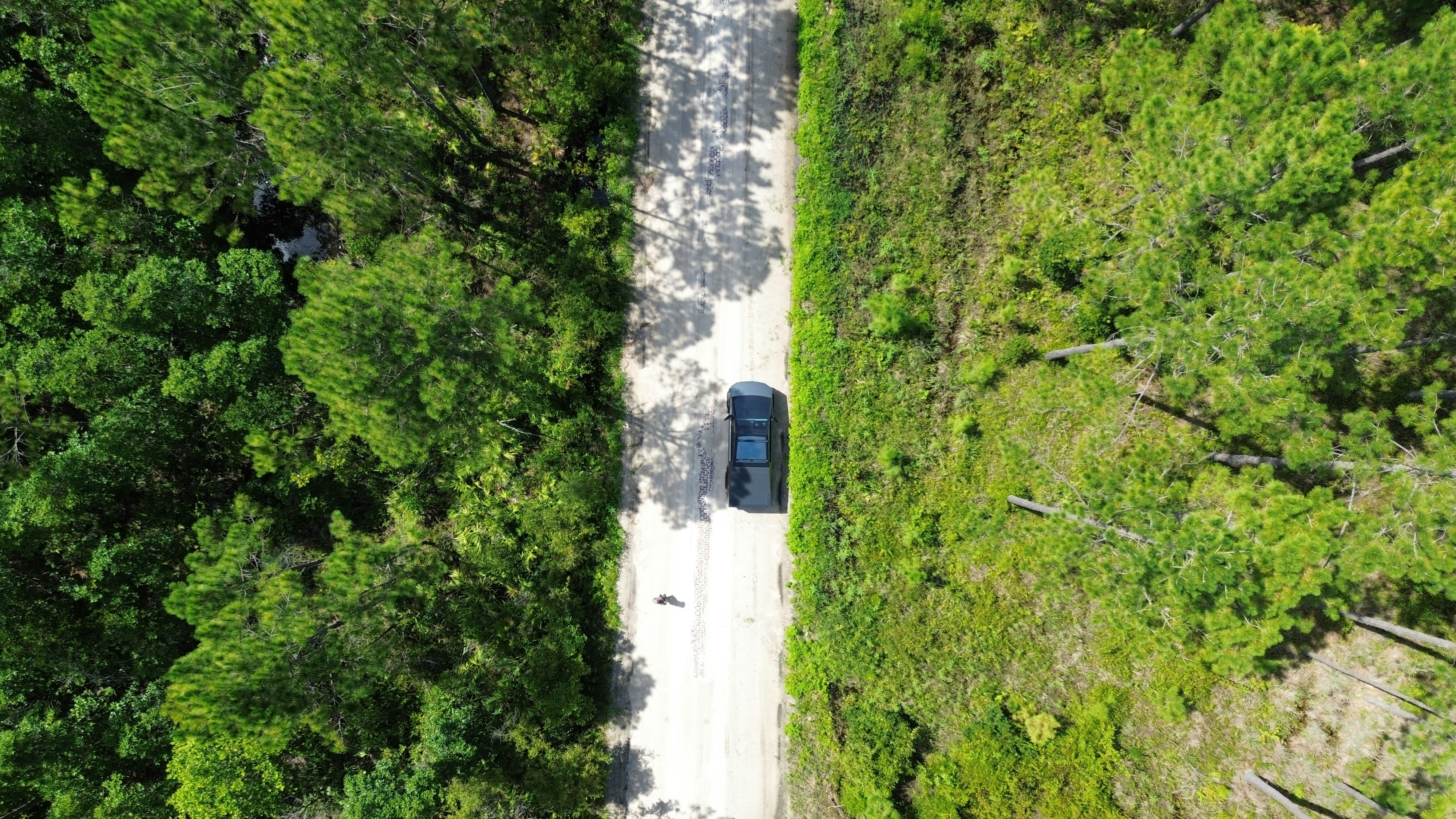 A car drives down a dirt road.