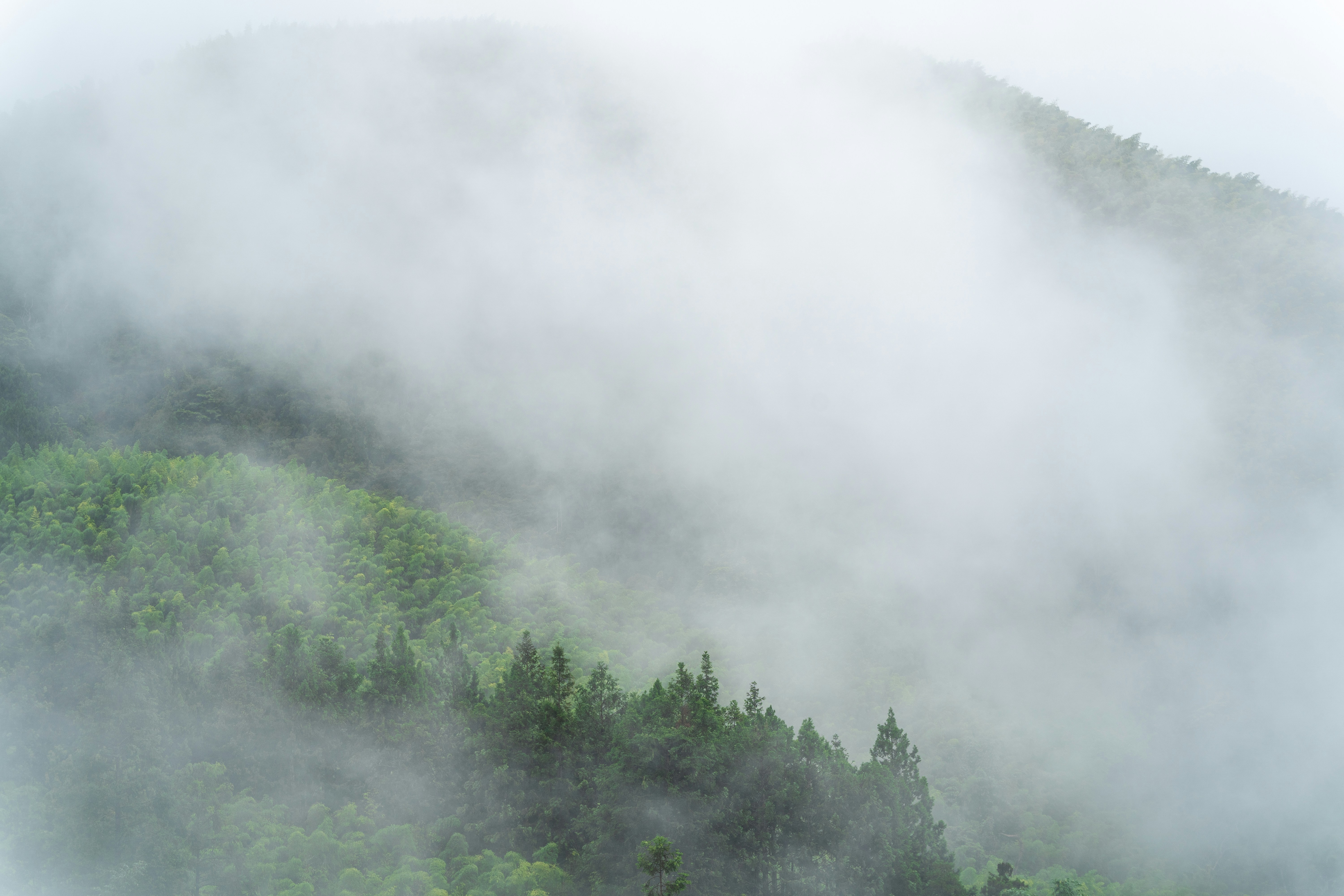 Photo by winstonchen