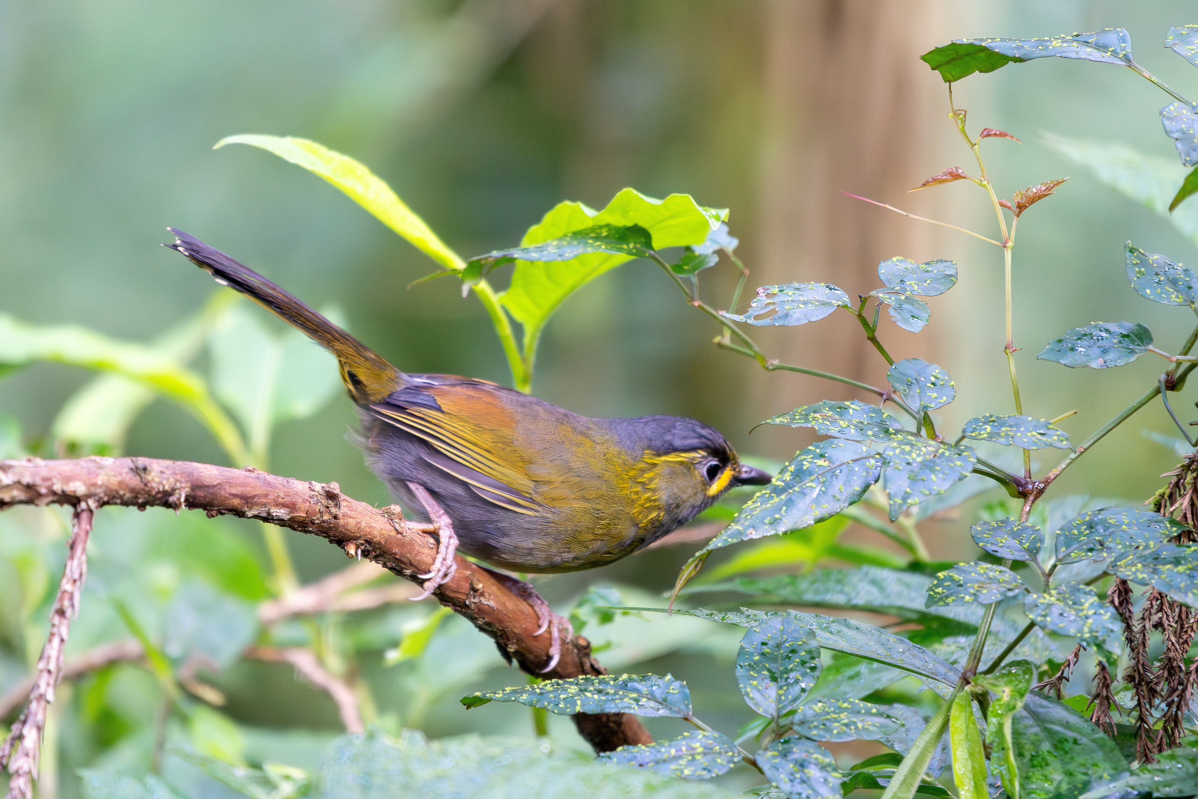 Photo by winstonchen