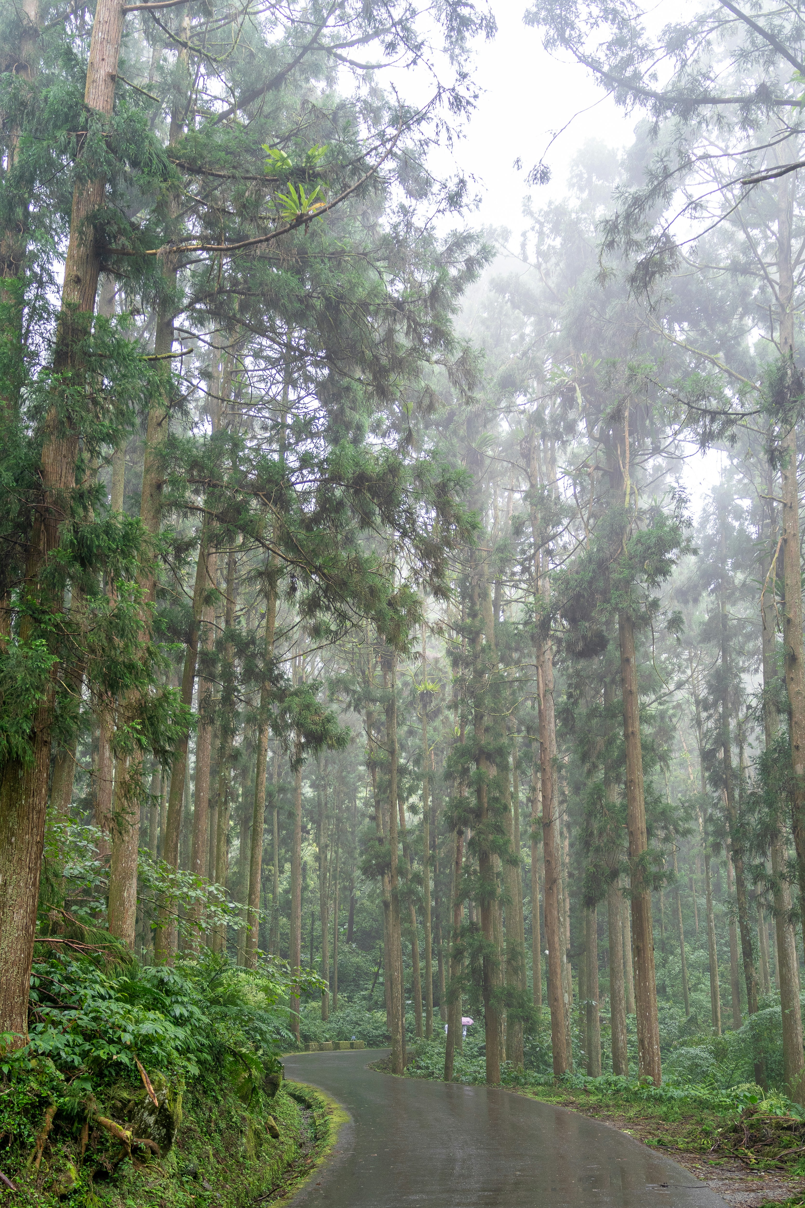 Photo by winstonchen